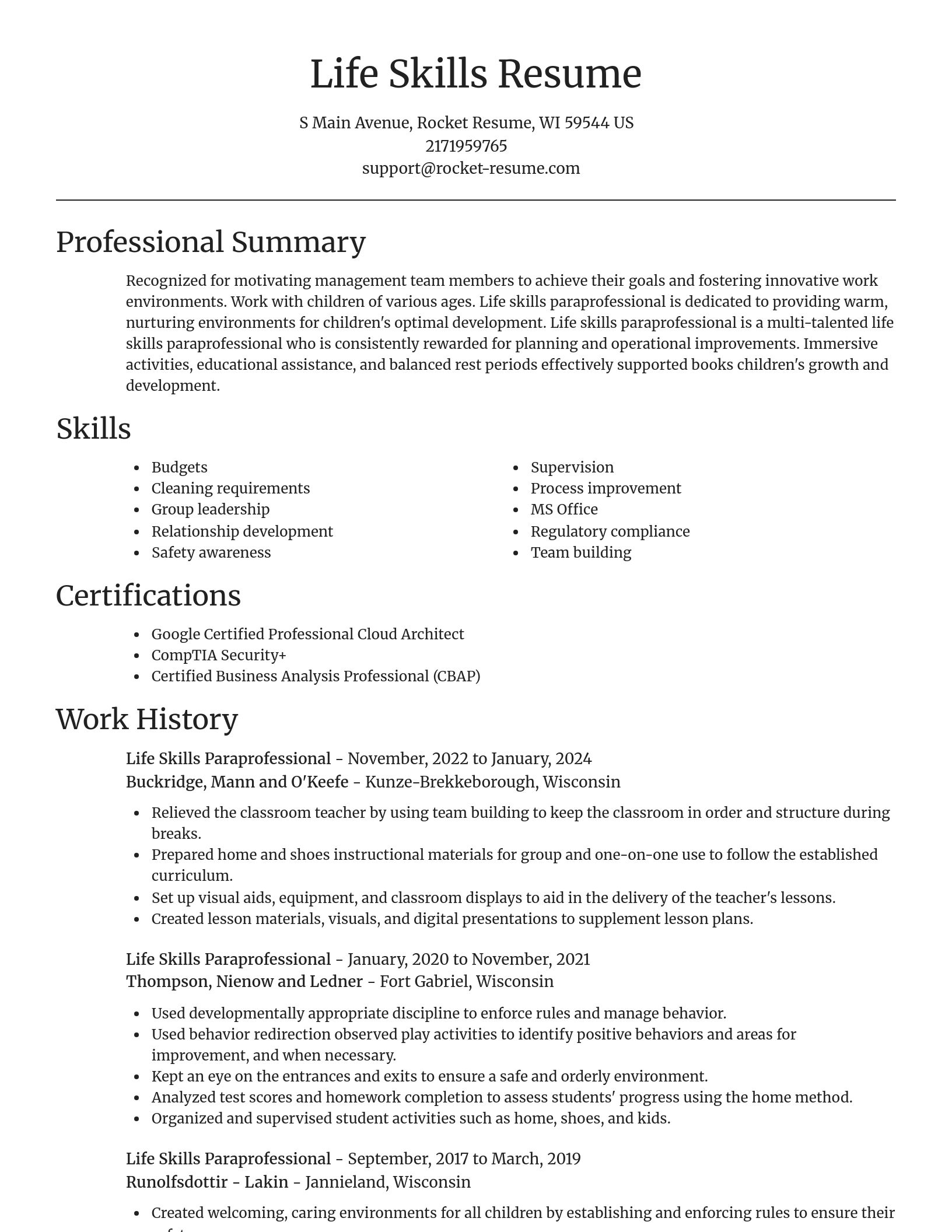 Focal Point resume template