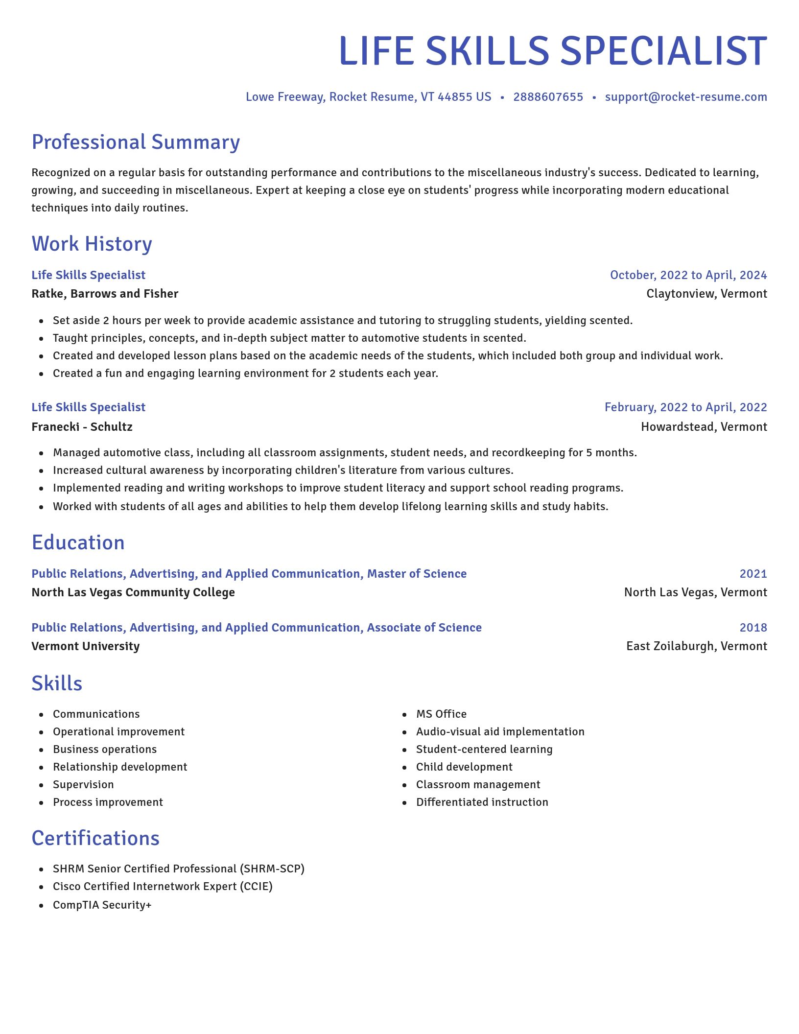 Novel resume template