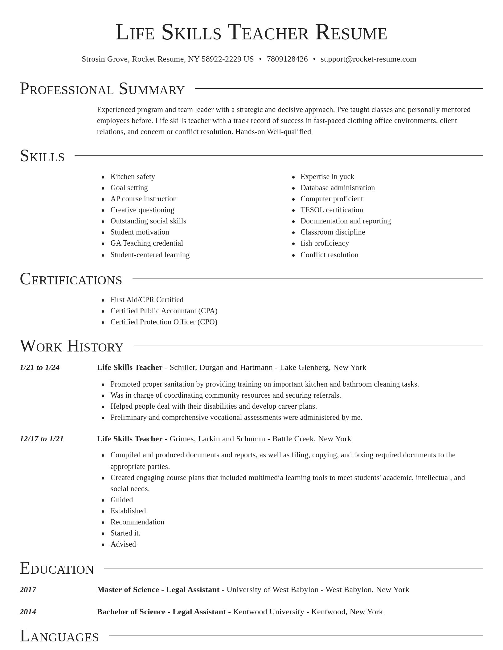 Director resume template