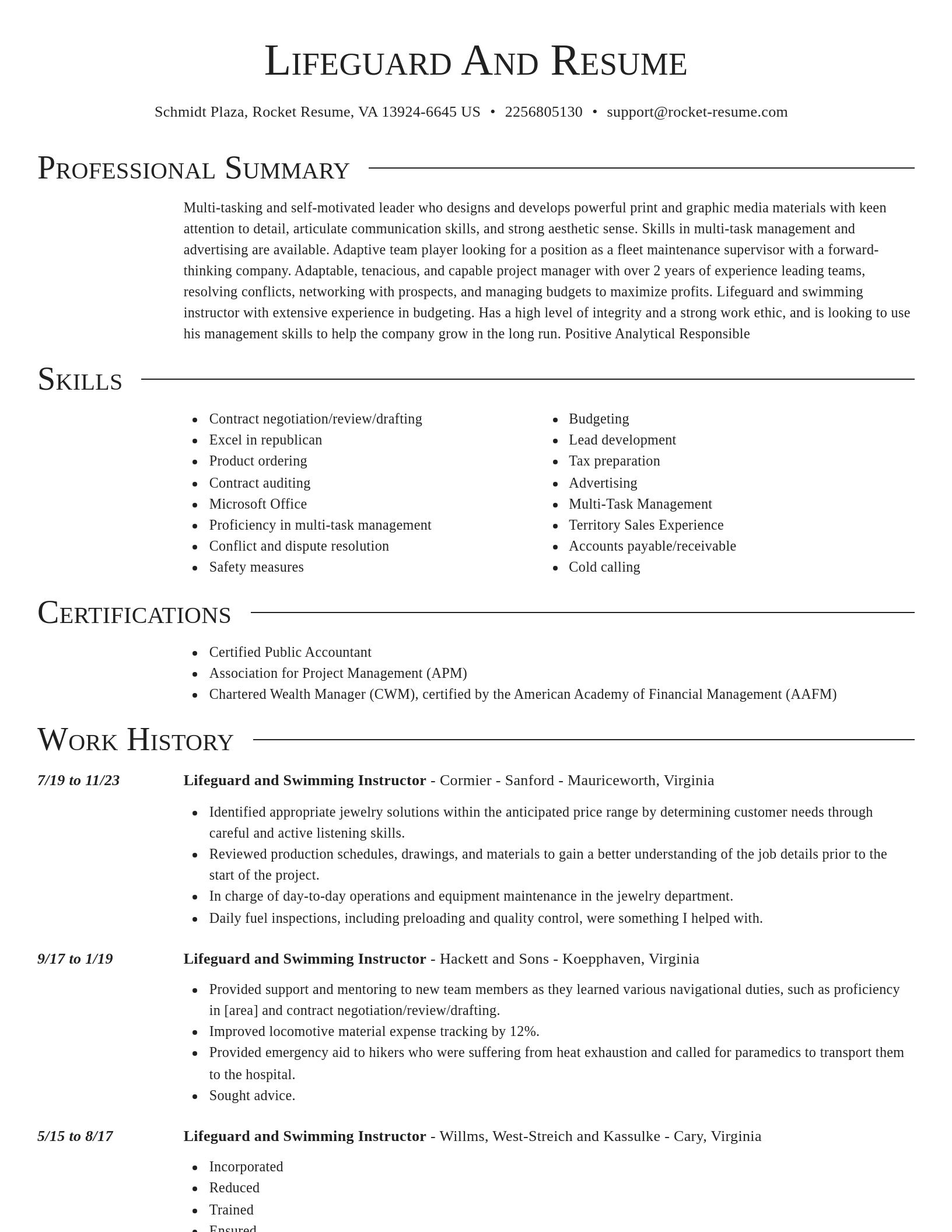 Director resume template