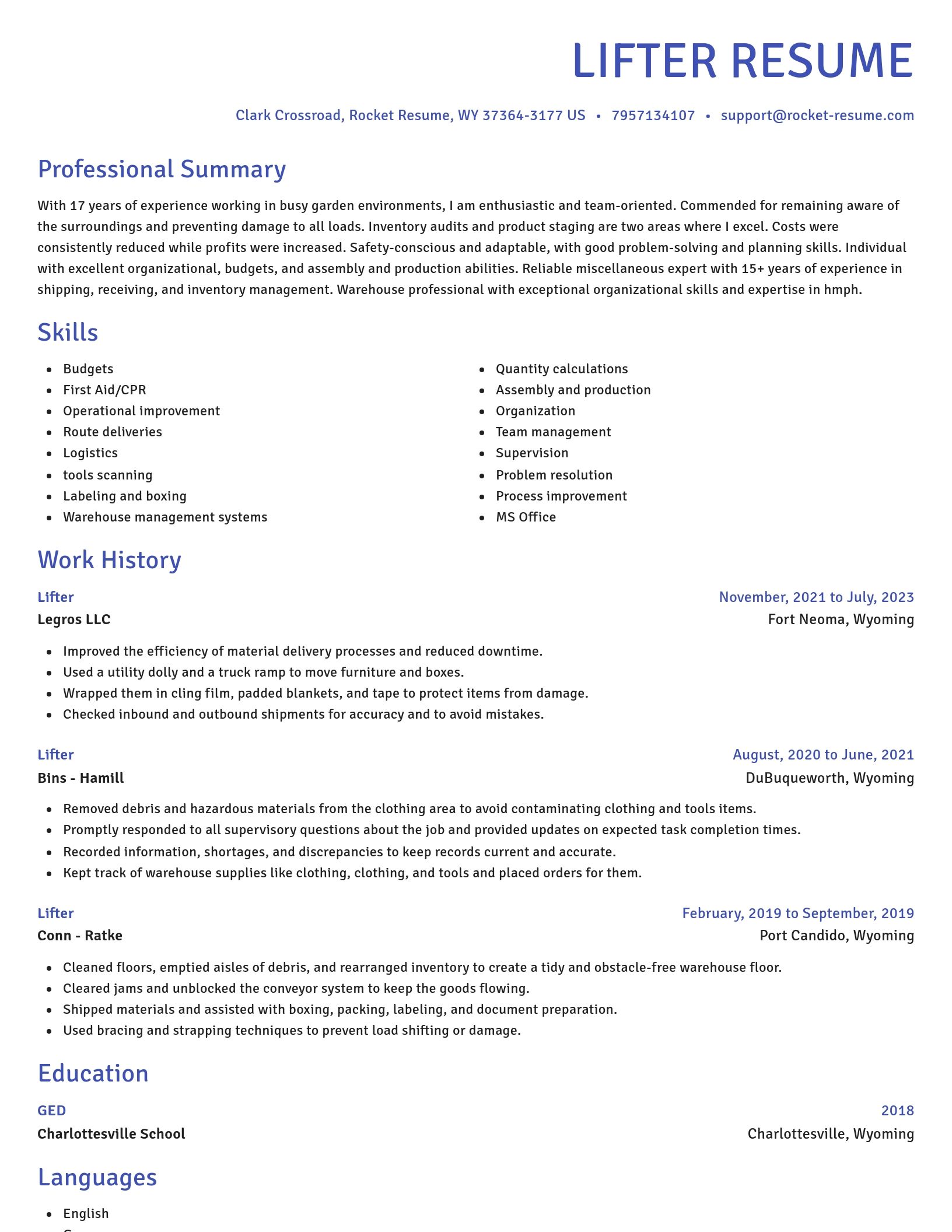 Novel resume template