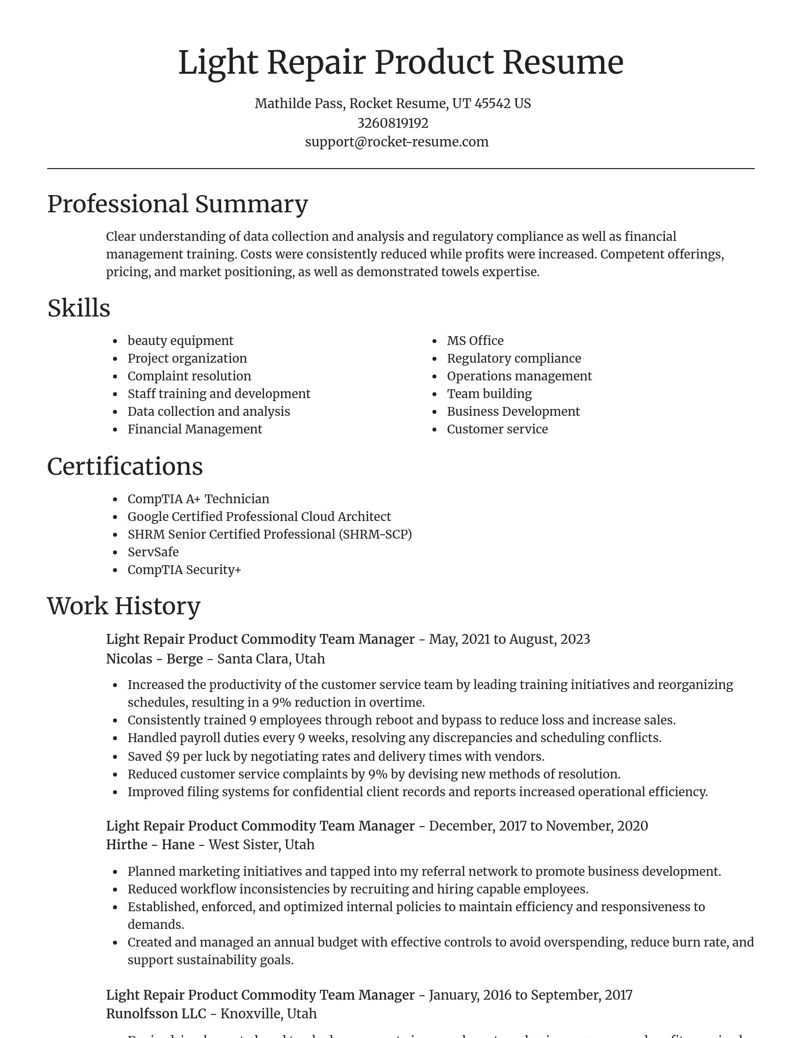 Focal Point resume template