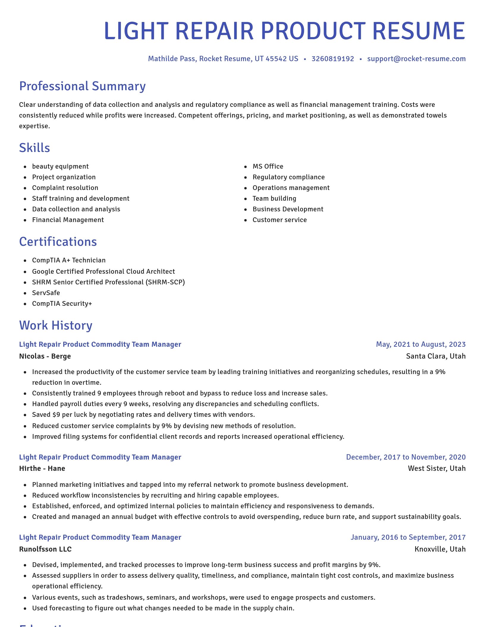 Novel resume template