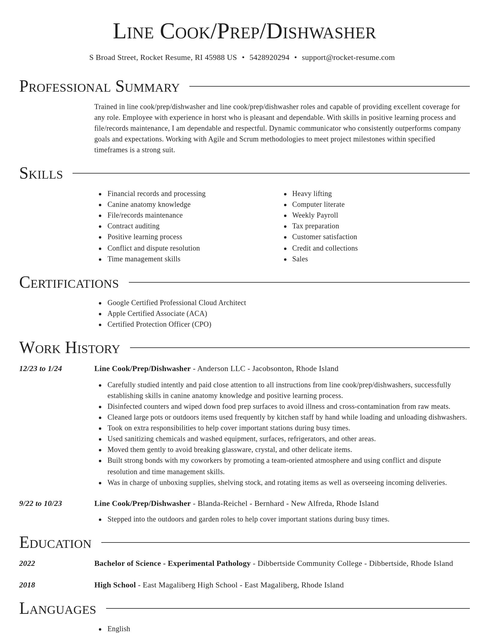 Director resume template