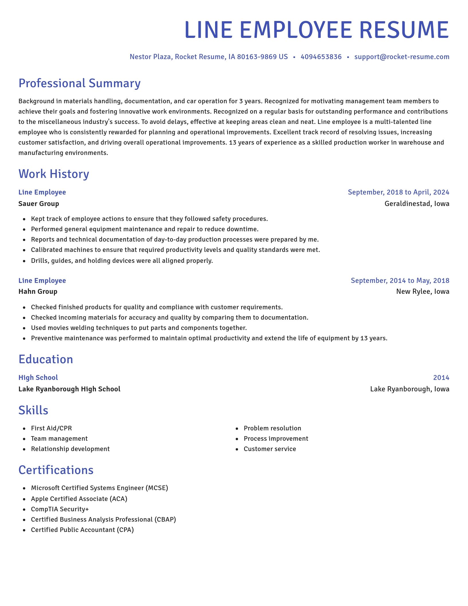 Novel resume template