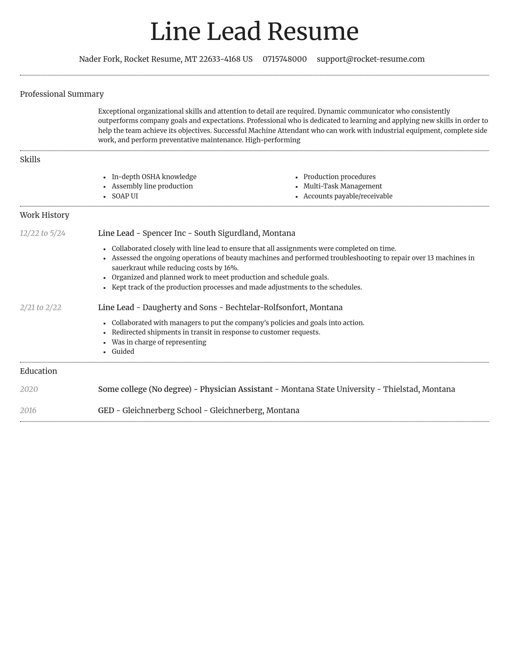 Dignified resume template