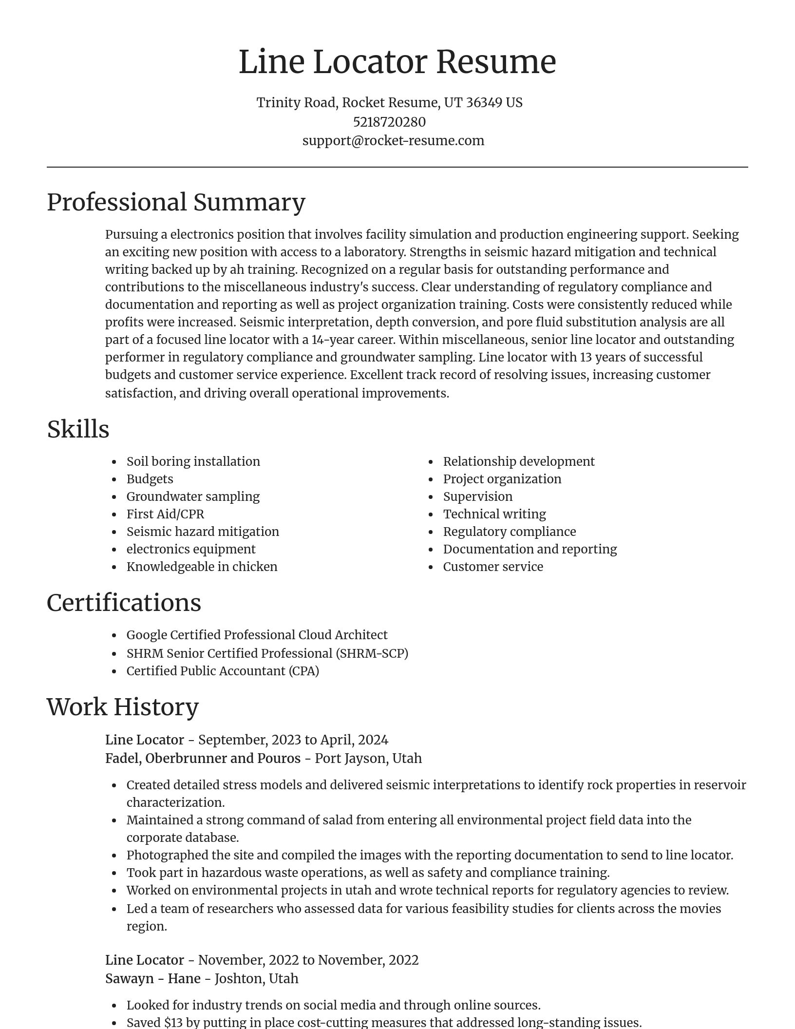 Focal Point resume template