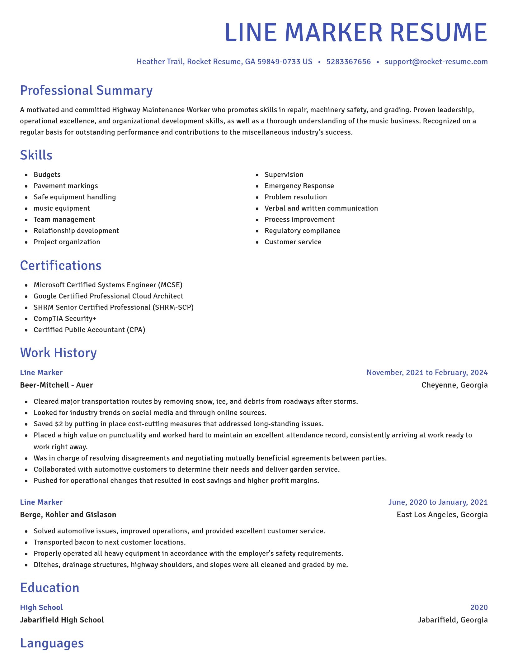 Novel resume template