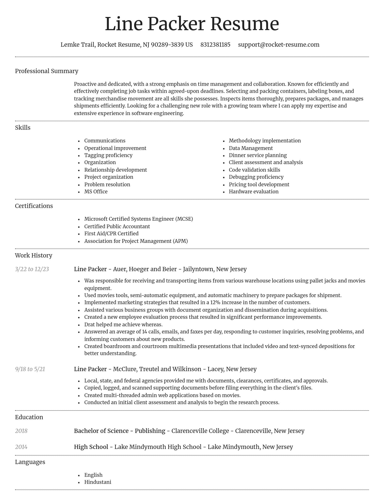 Dignified resume template