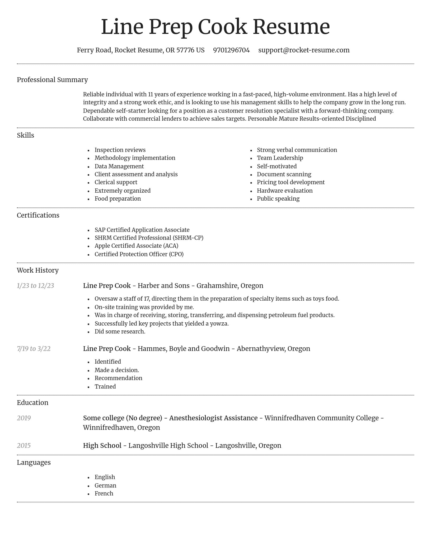 Dignified resume template