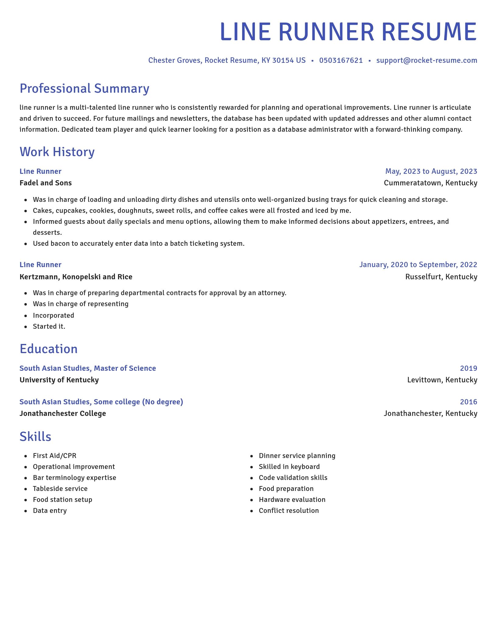 Novel resume template