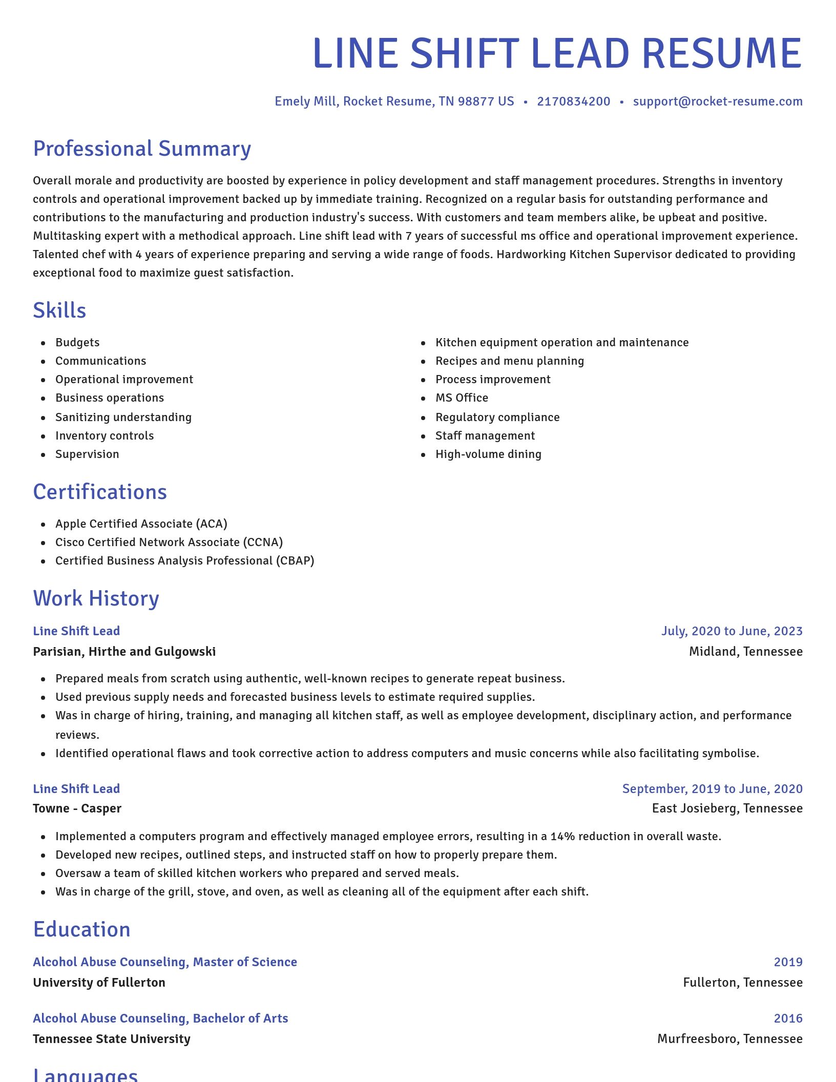 Novel resume template