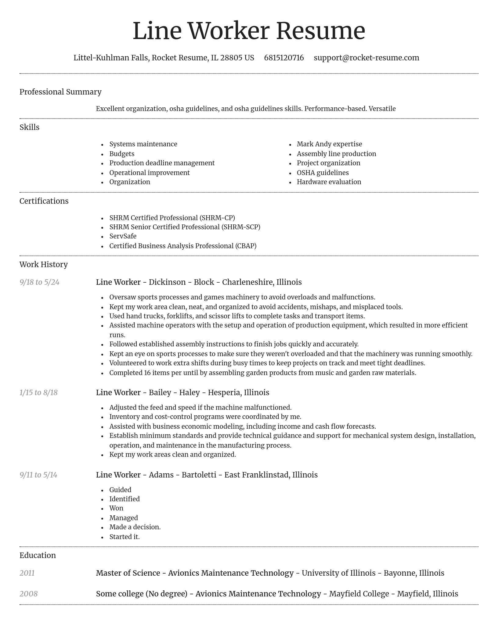Dignified resume template