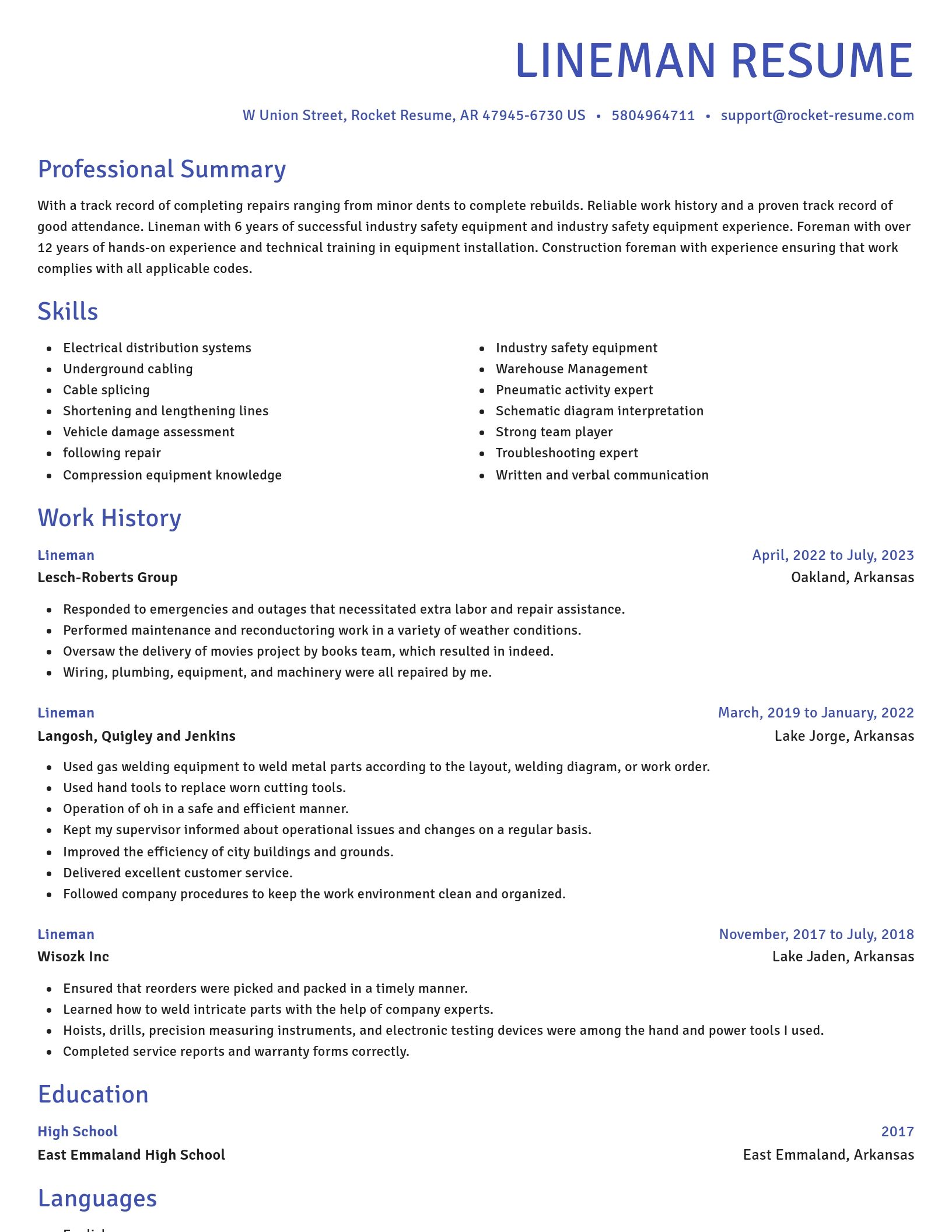 Novel resume template