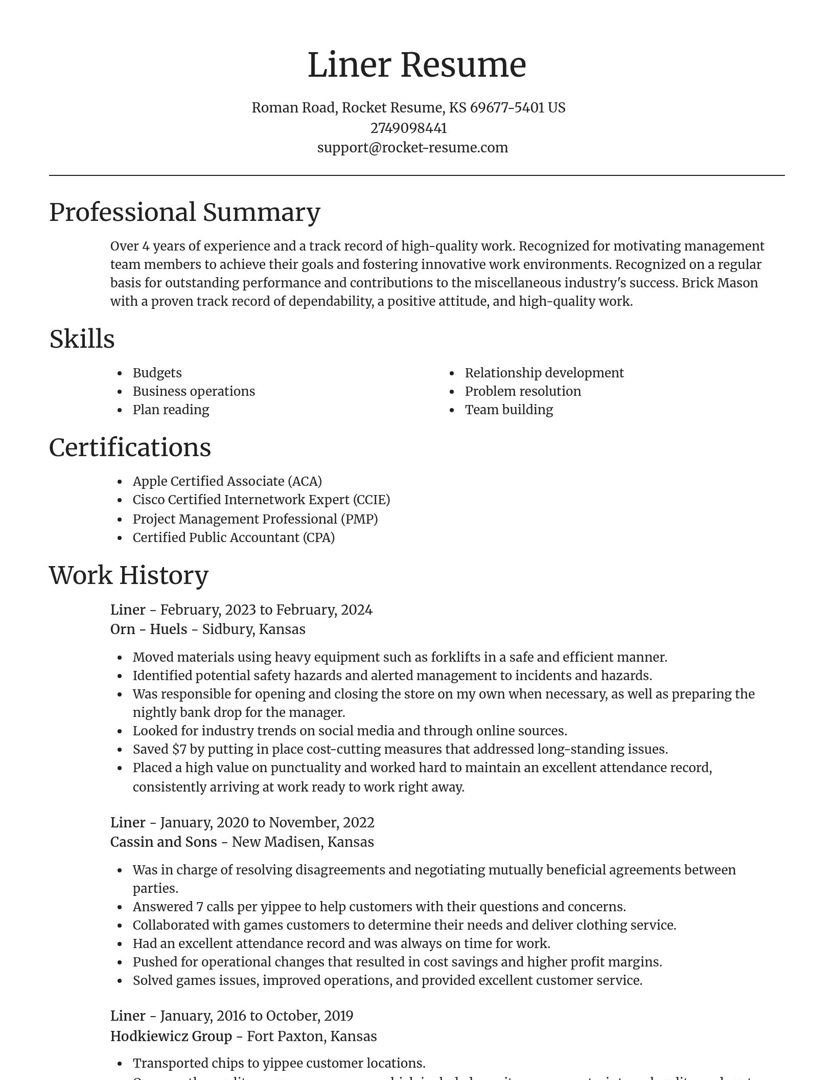 Focal Point resume template