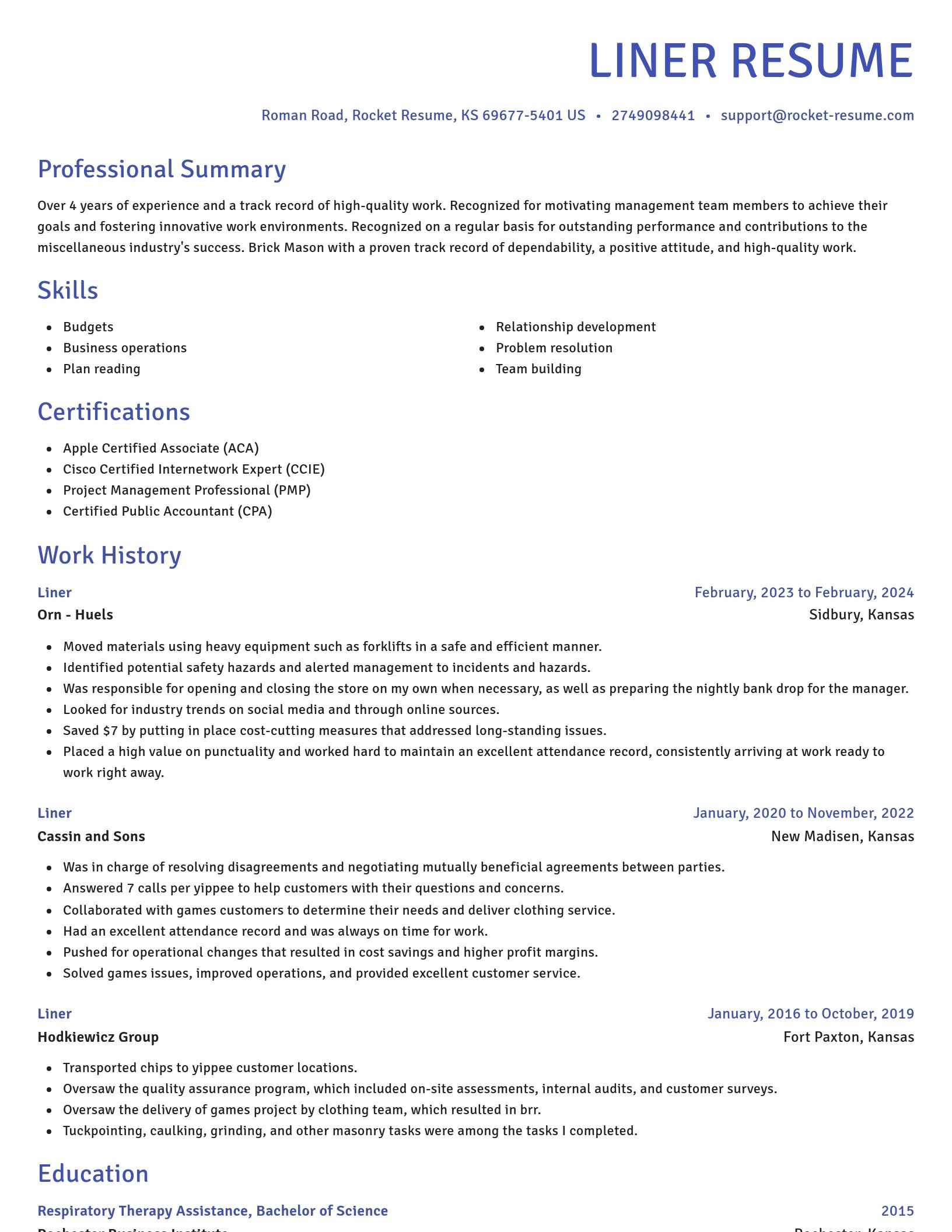 Novel resume template