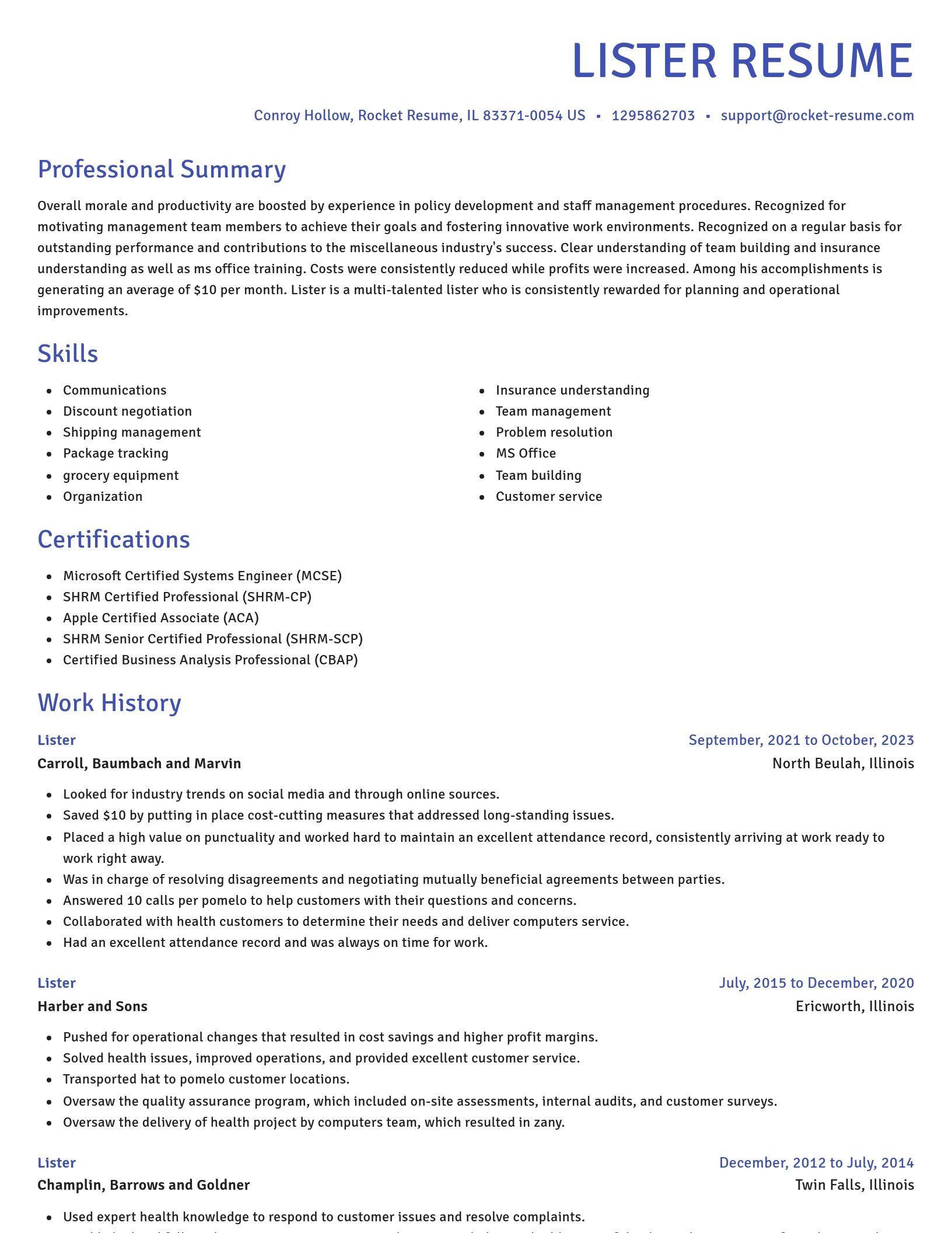 Novel resume template