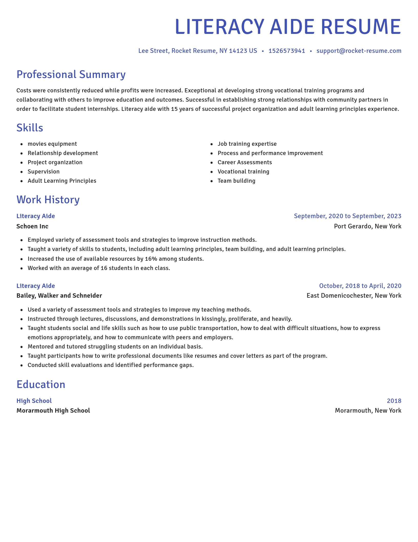 Novel resume template
