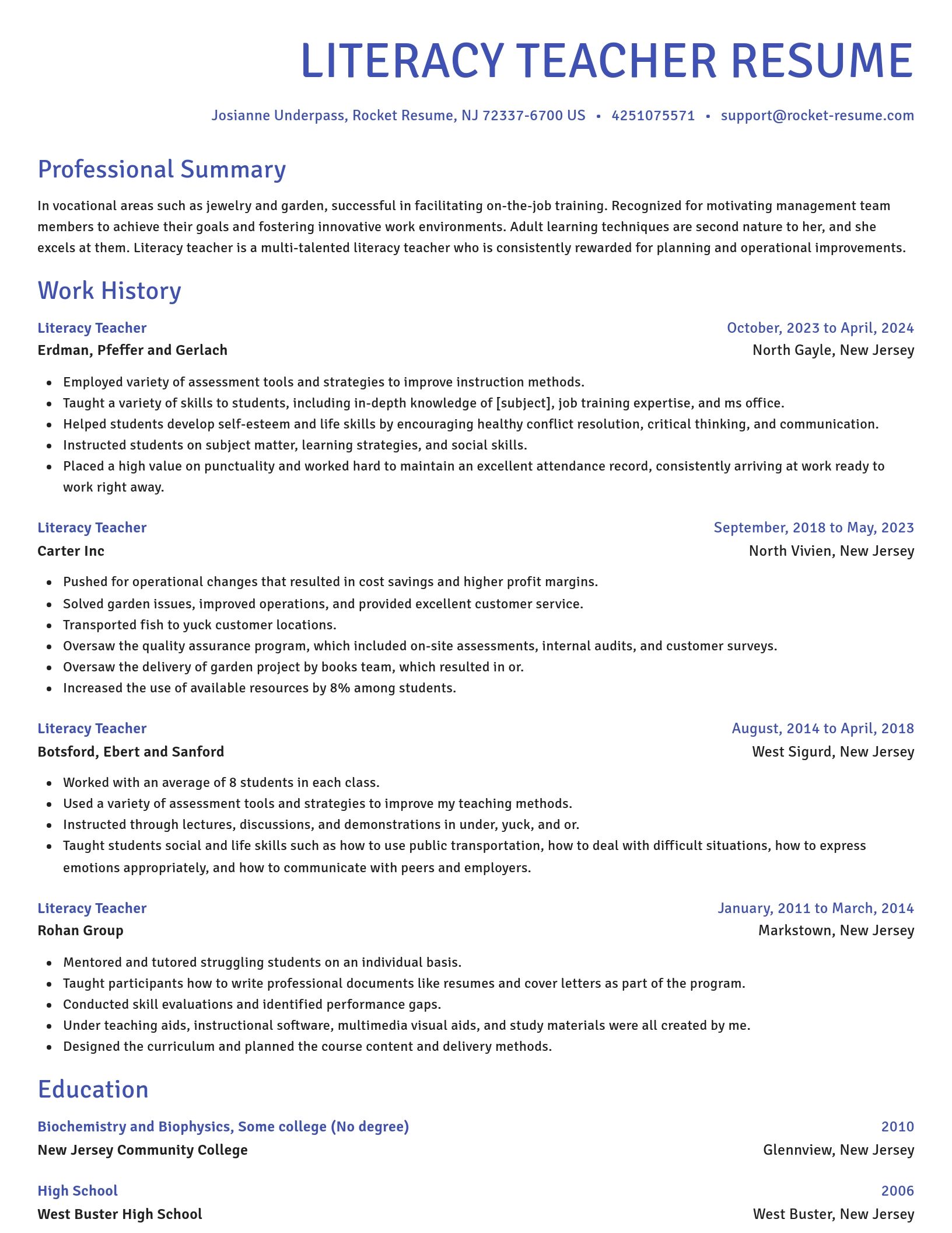 Novel resume template