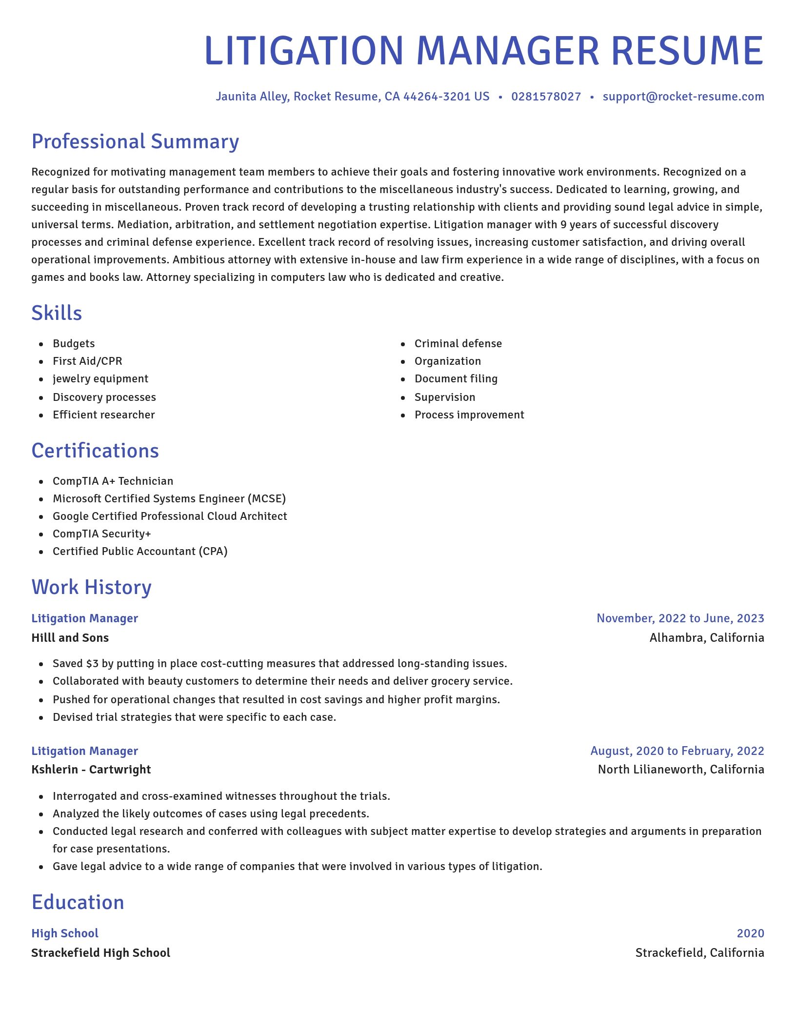 Novel resume template