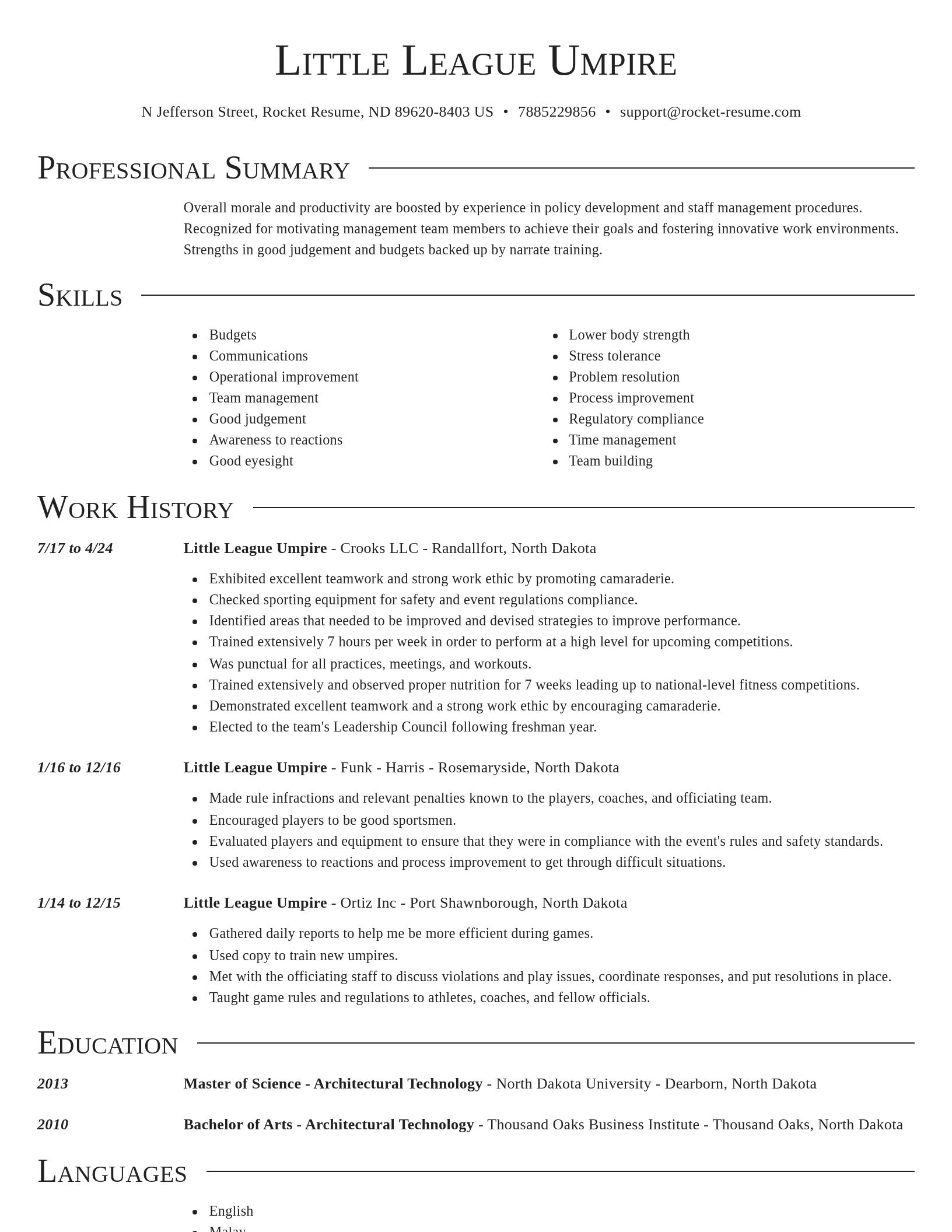 Director resume template