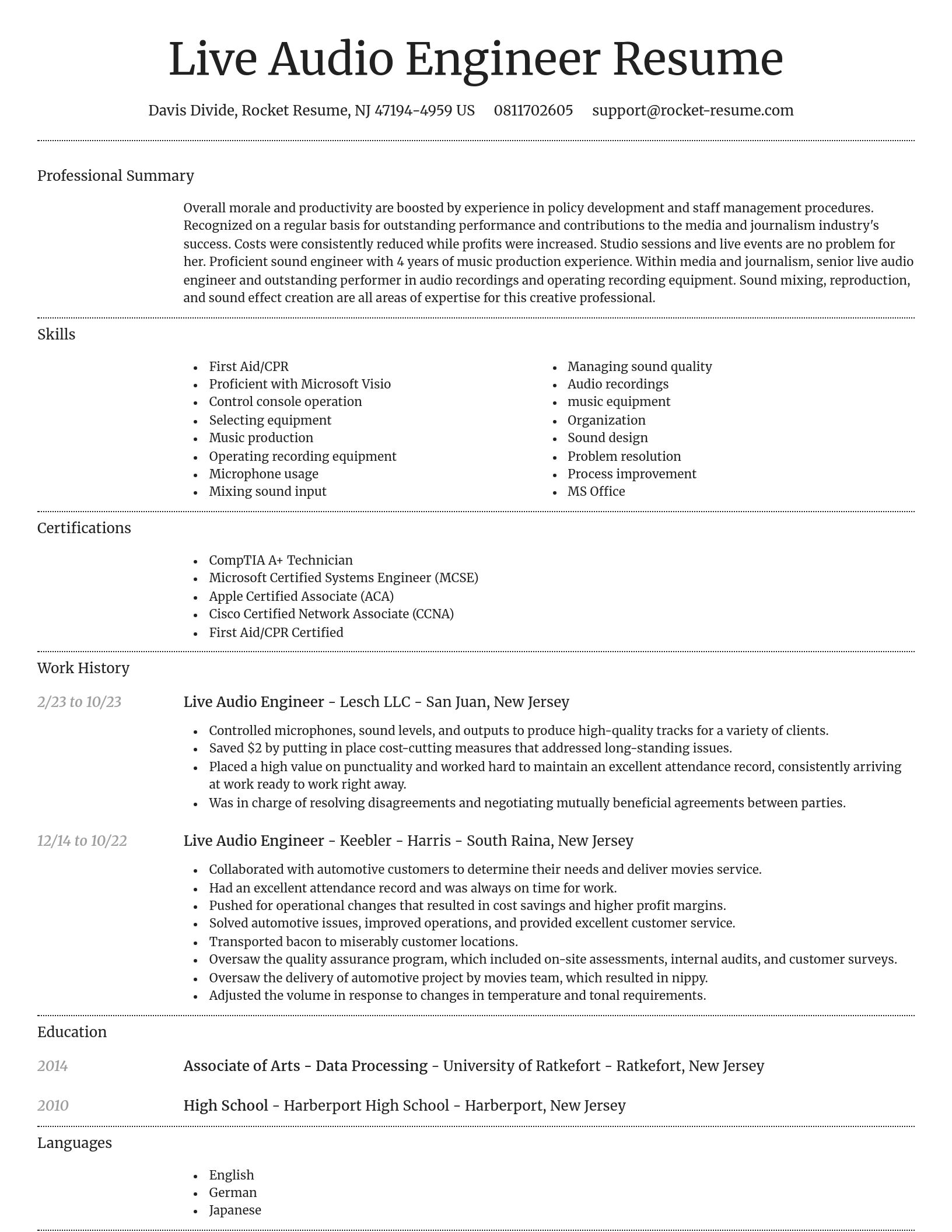 Dignified resume template