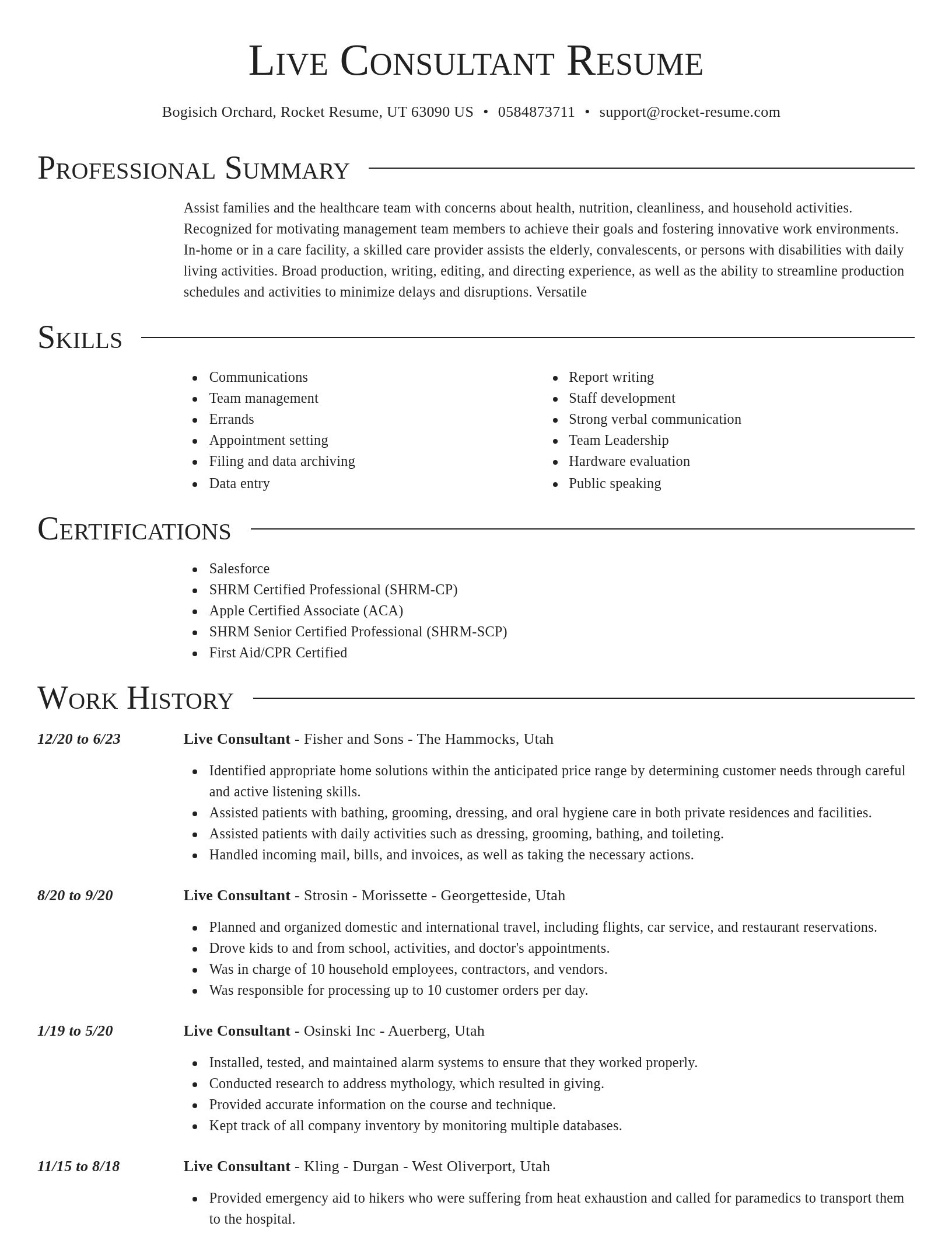 Director resume template
