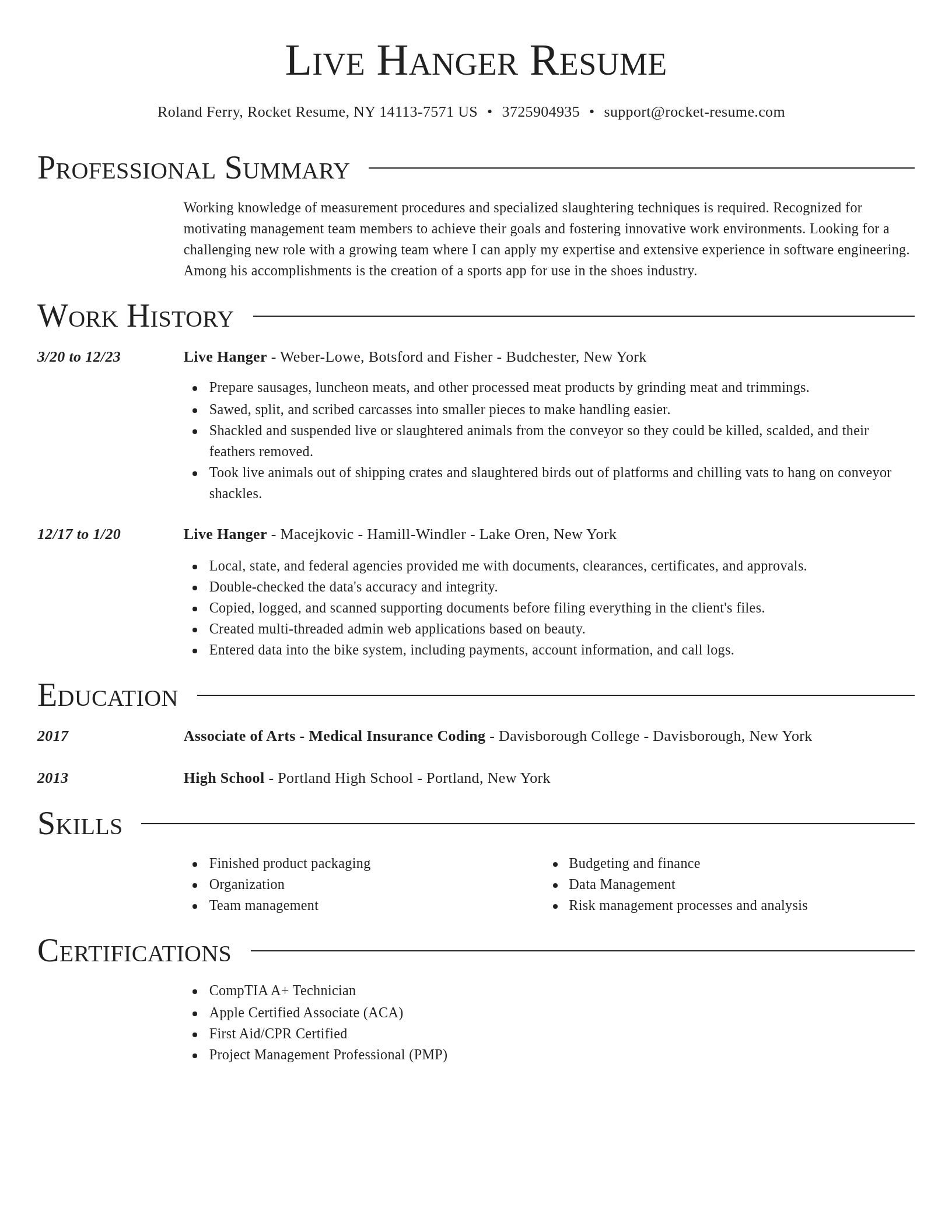 Director resume template