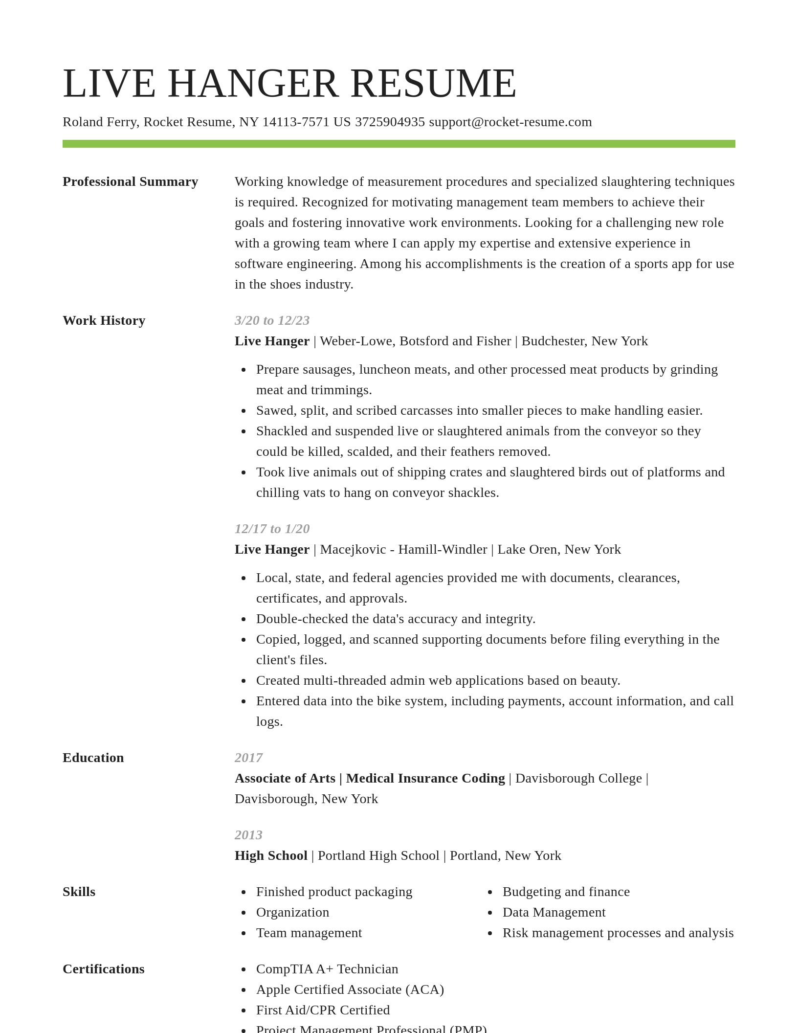 Smart resume template