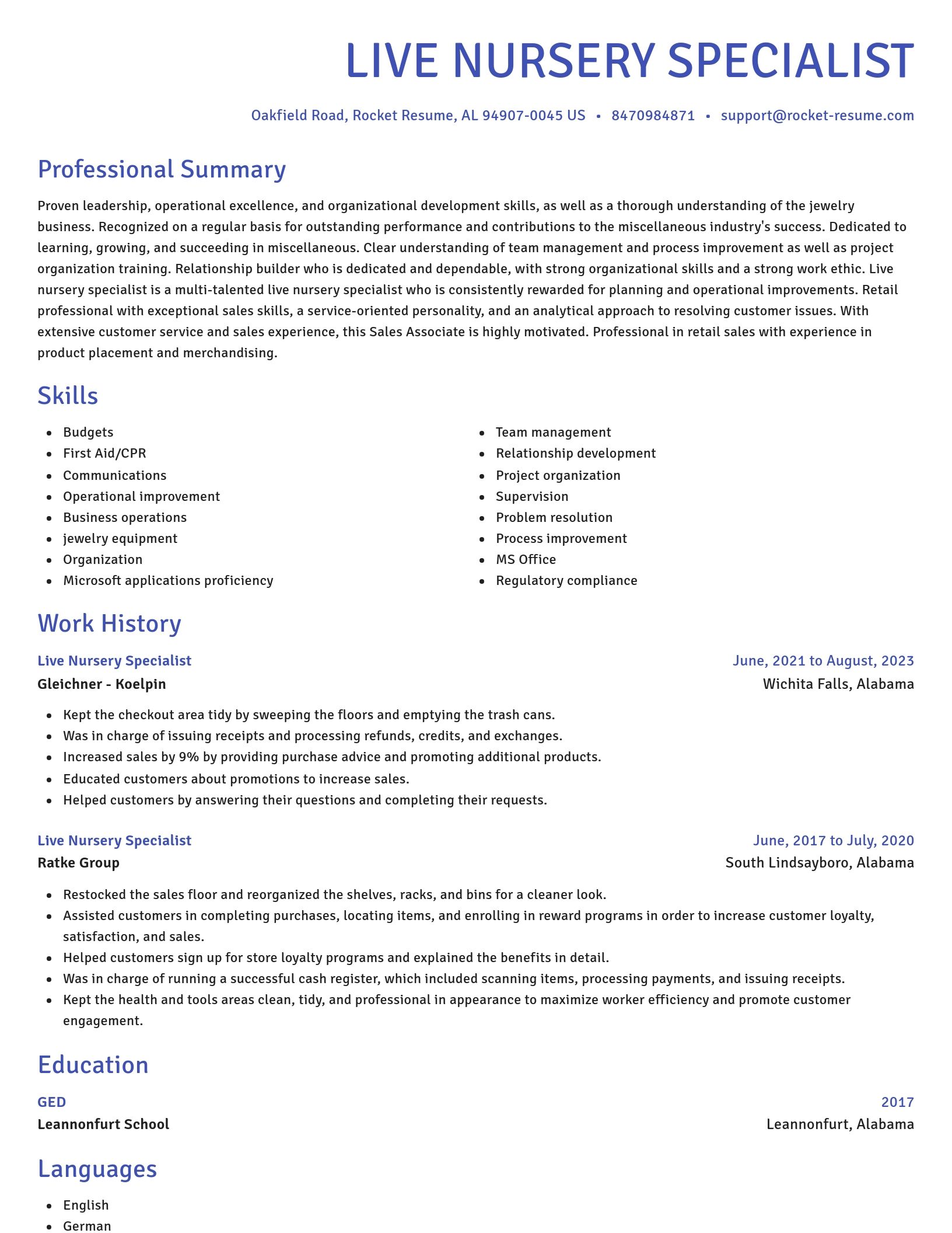 Novel resume template