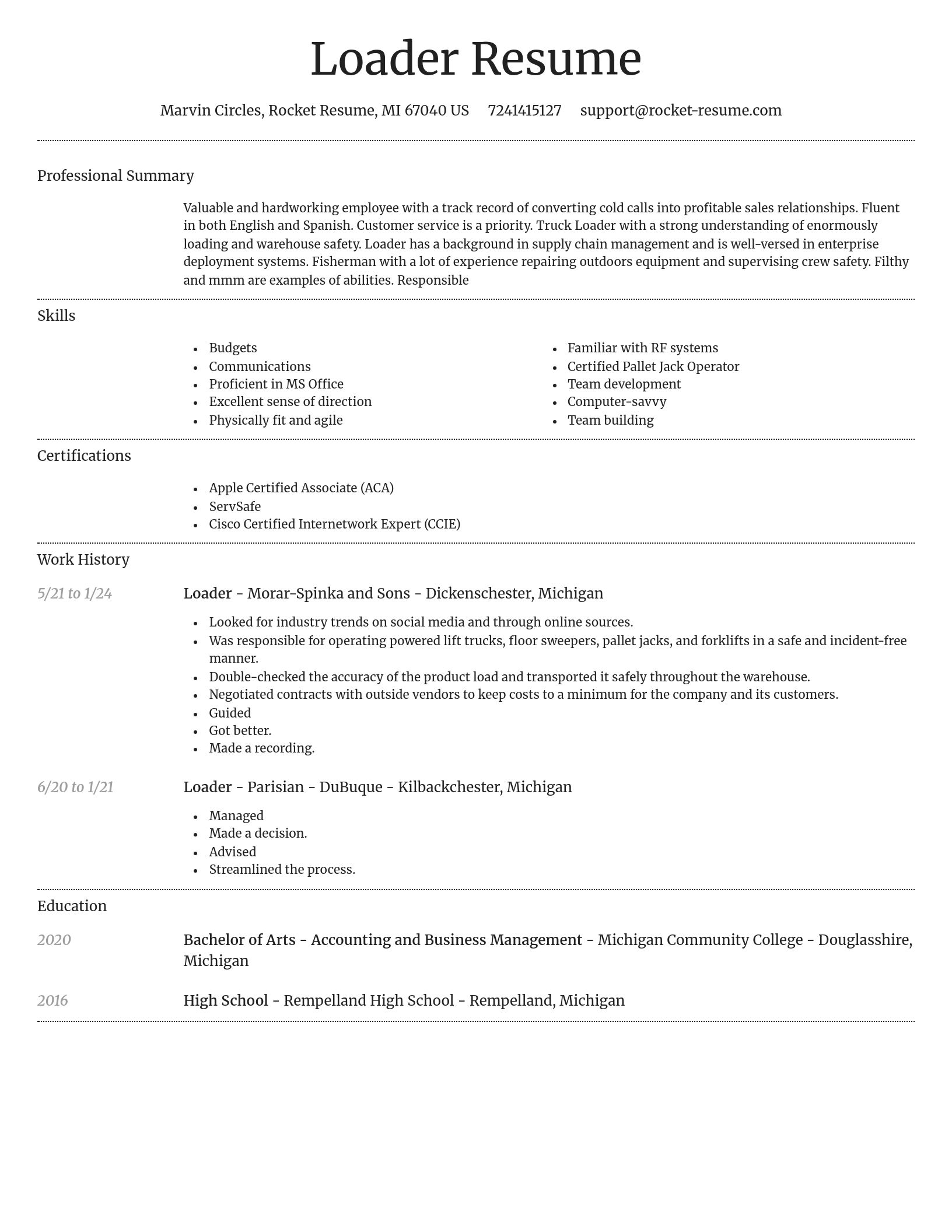 Dignified resume template