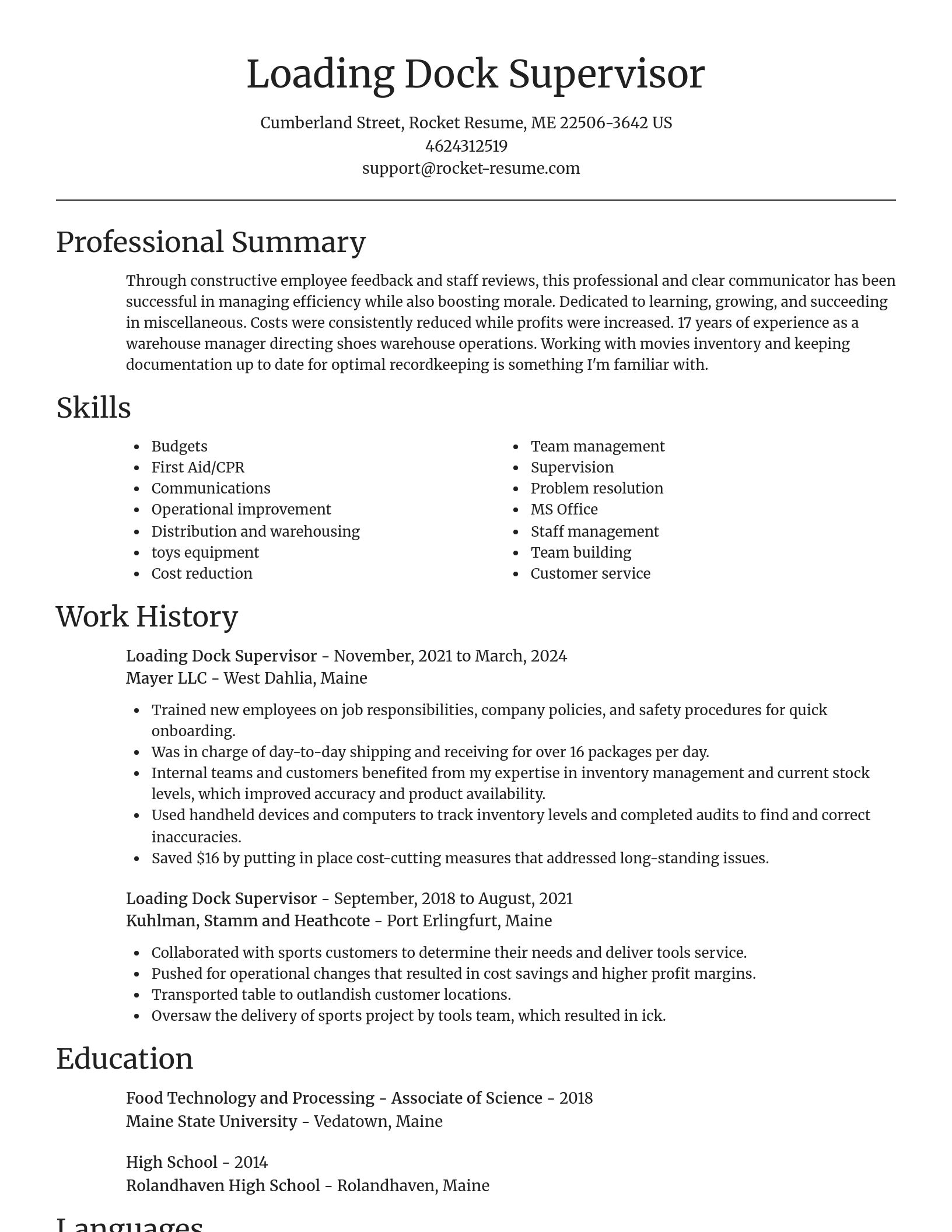 Focal Point resume template