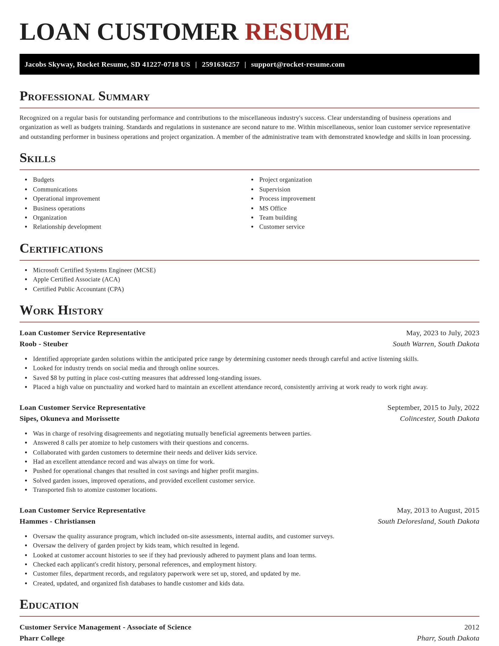 Exquisite resume template