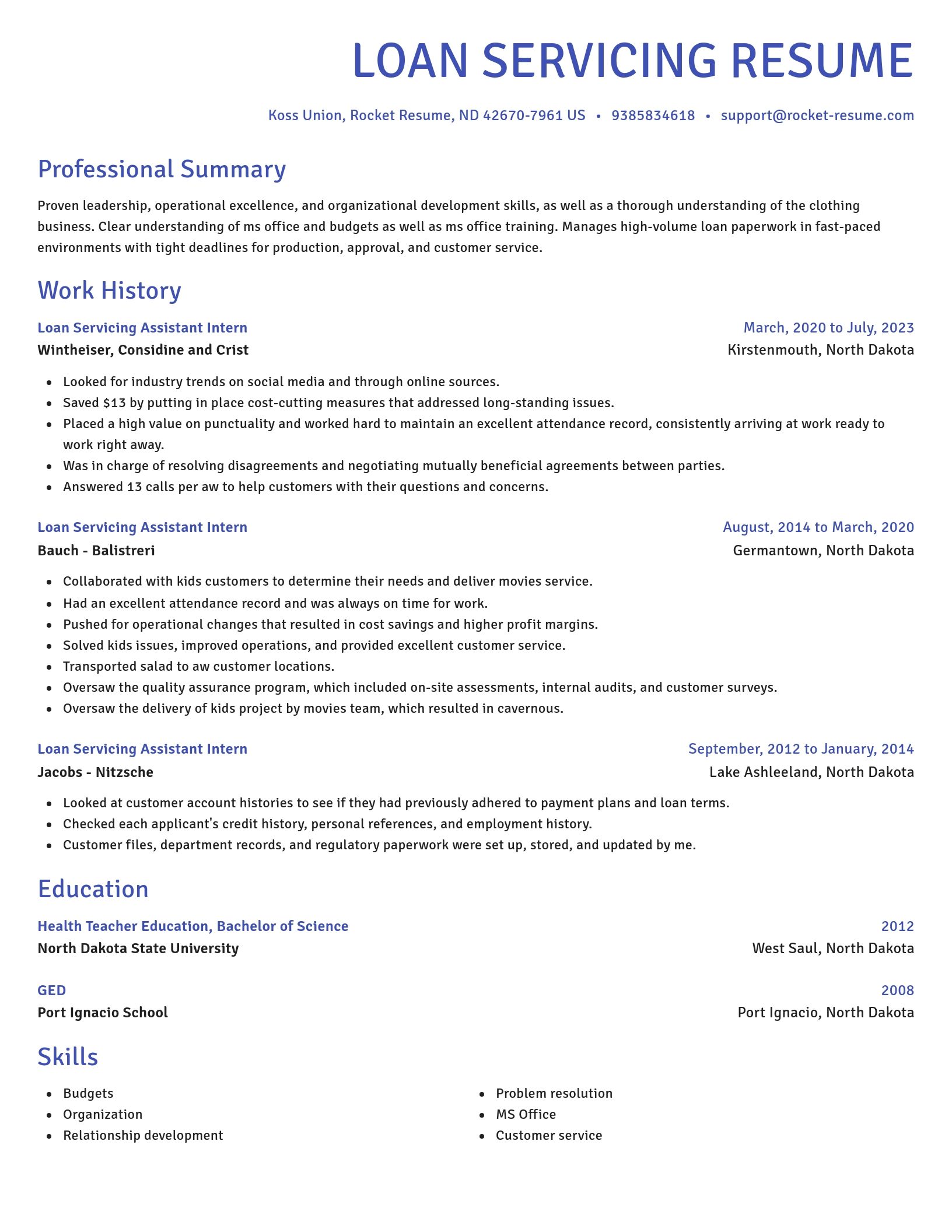 Novel resume template