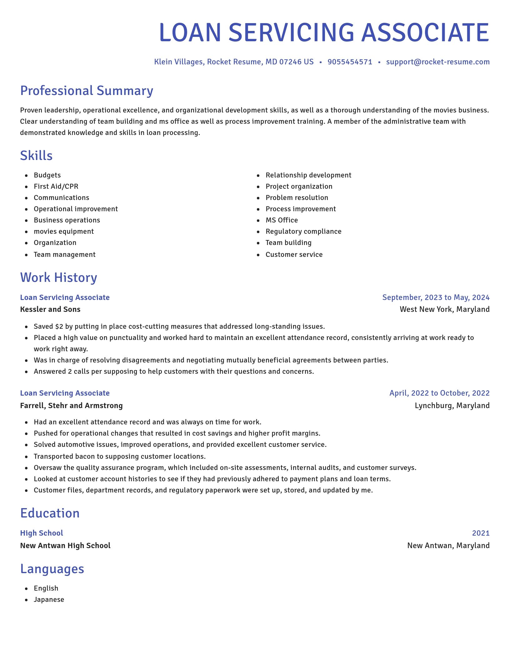 Novel resume template