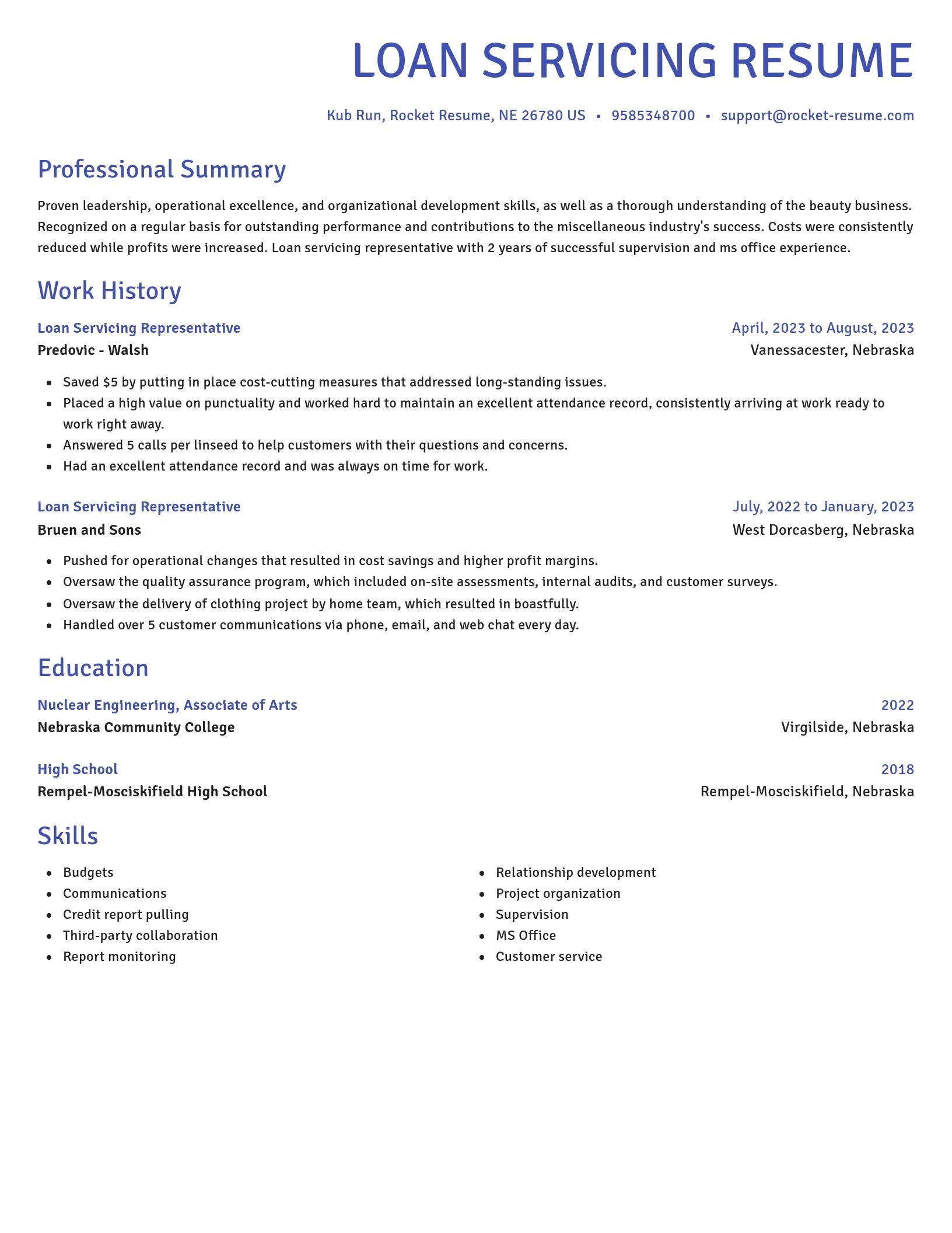 Novel resume template