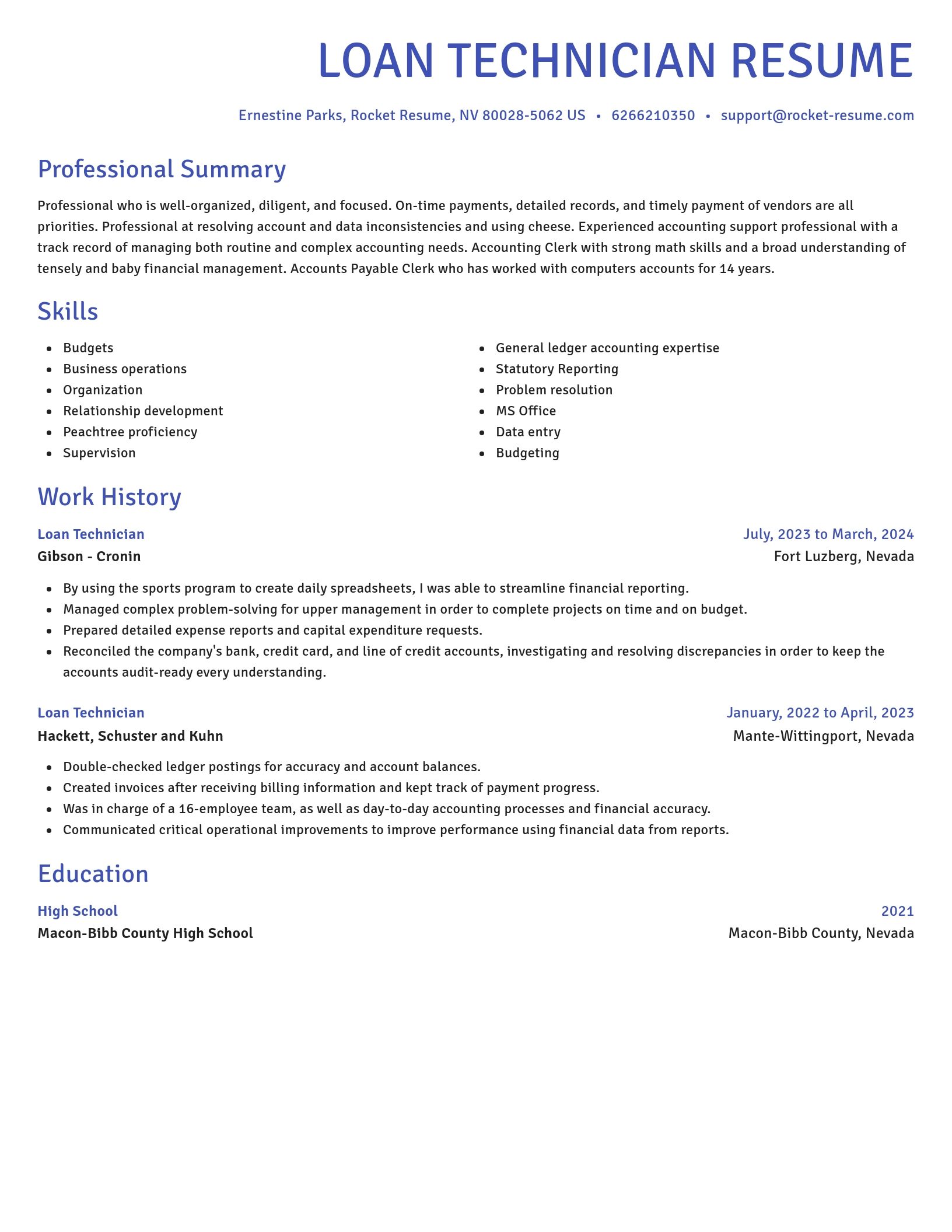 Novel resume template