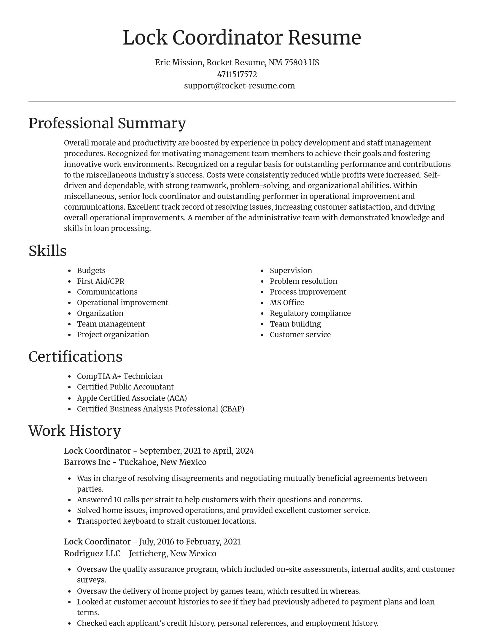 Focal Point resume template