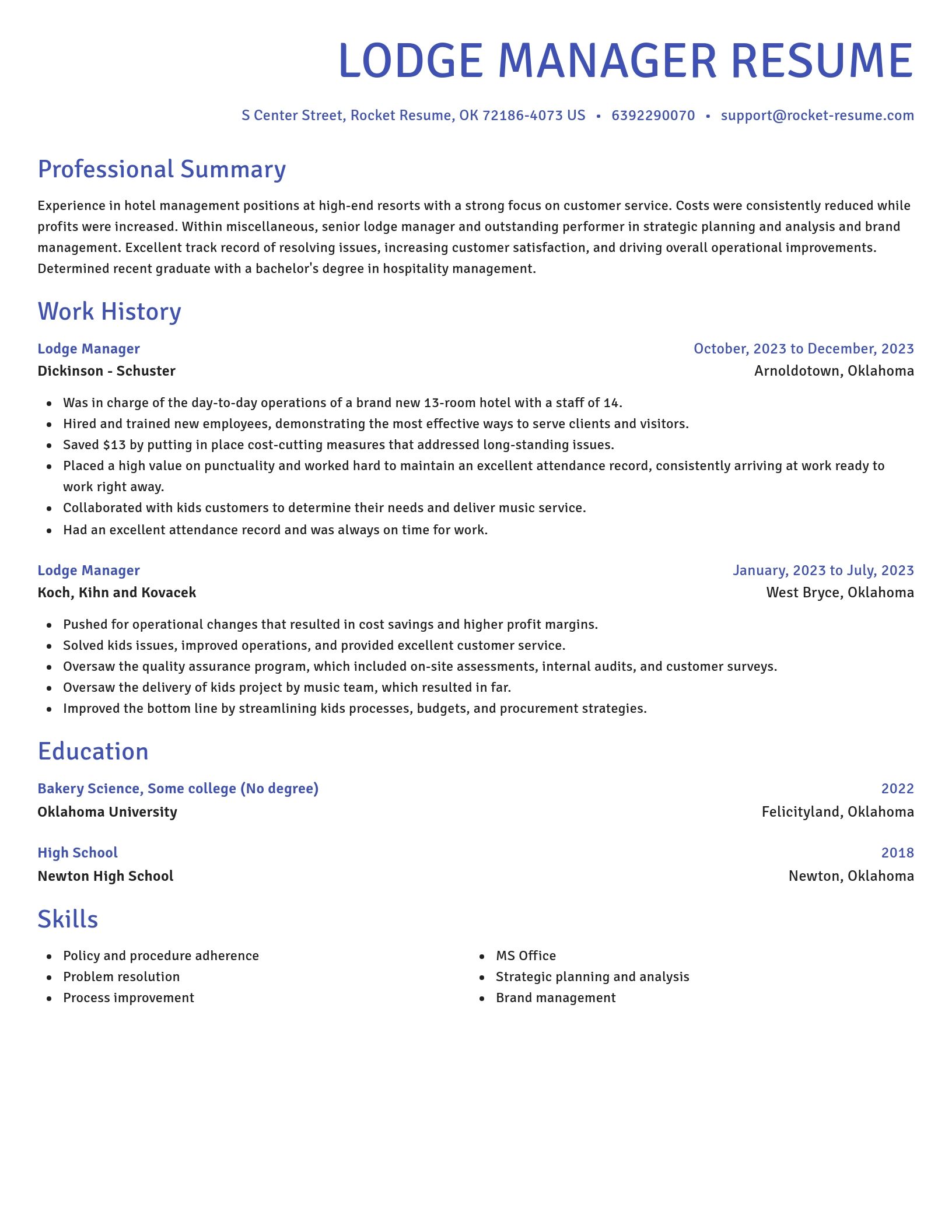 Novel resume template