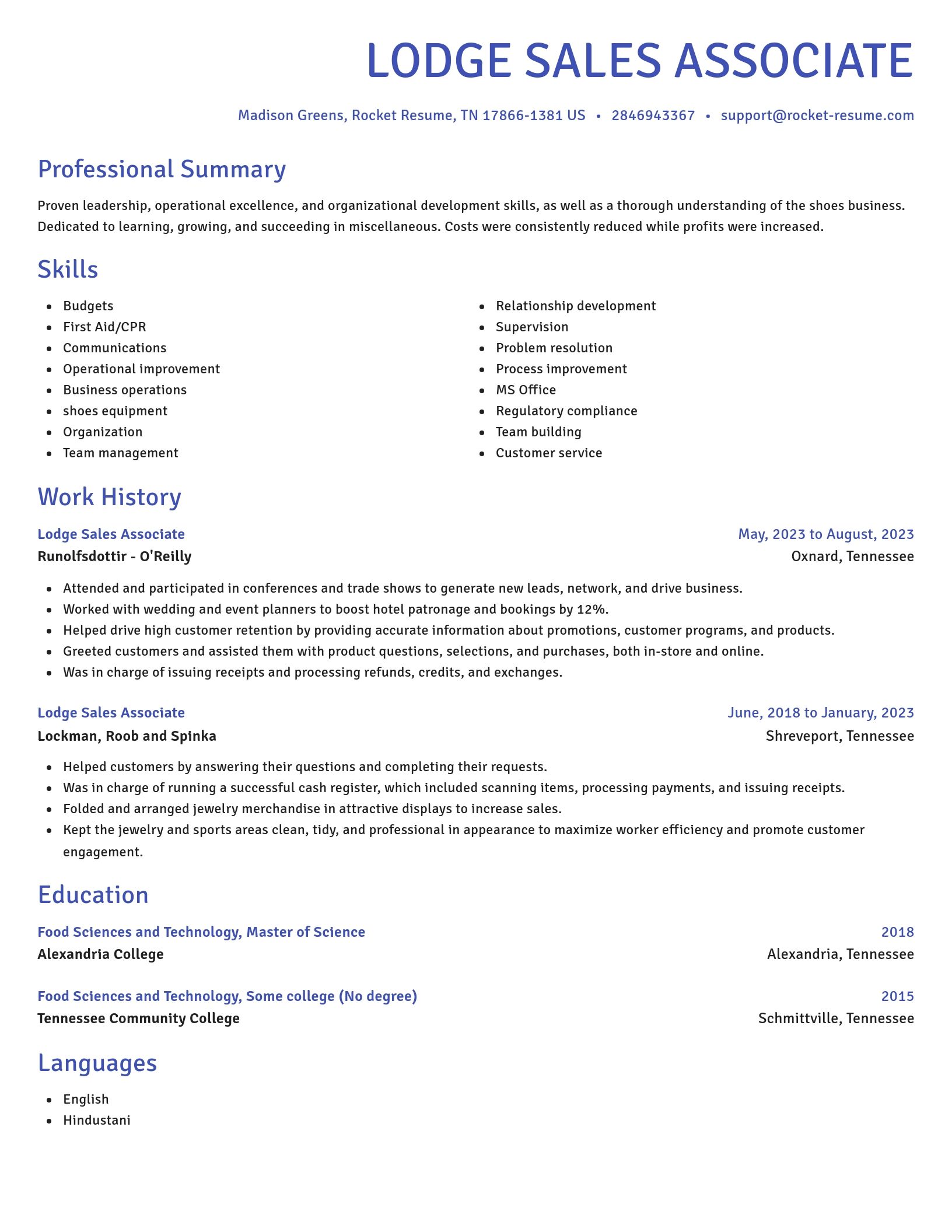 Novel resume template