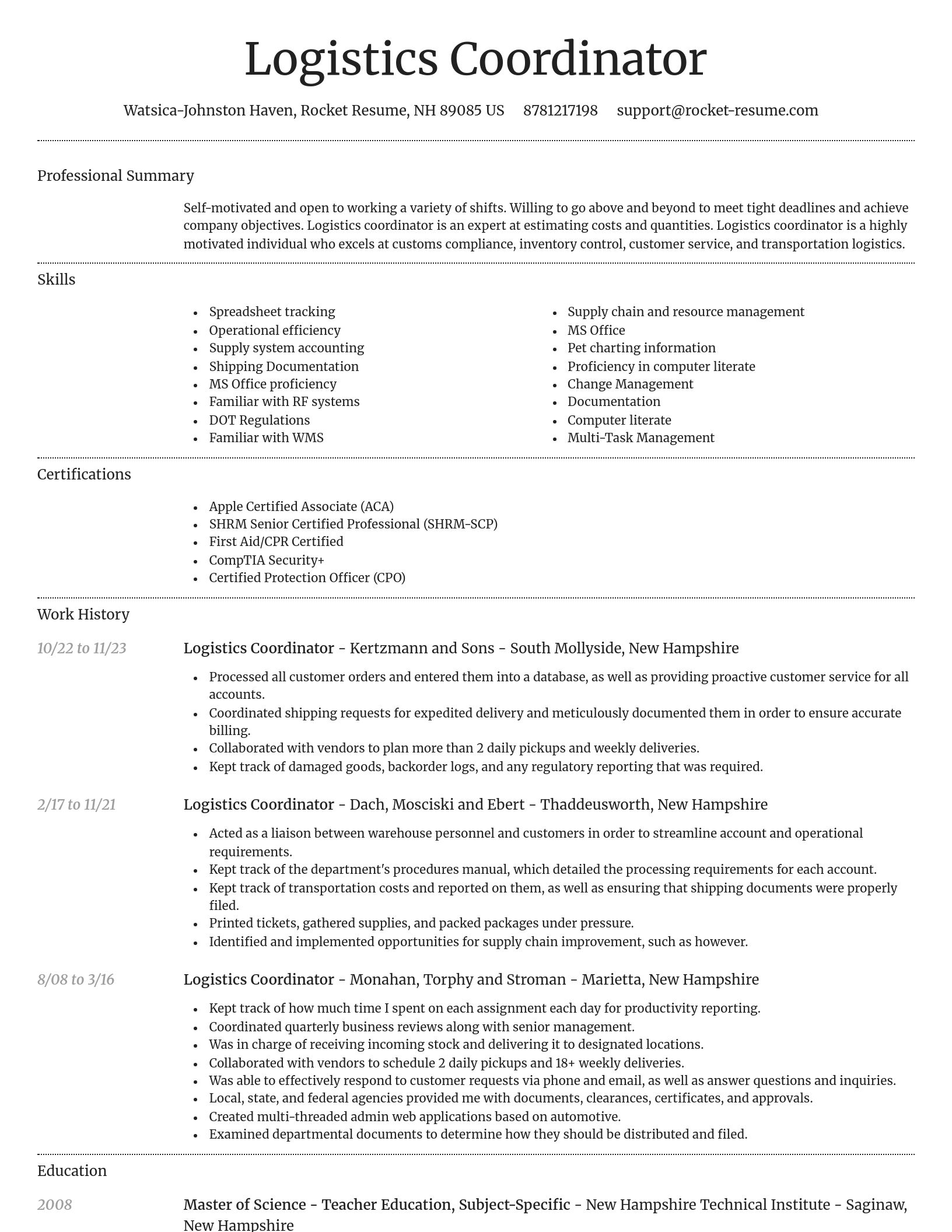 Dignified resume template