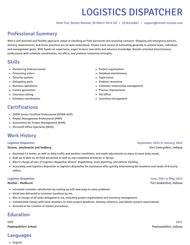 Novel resume template