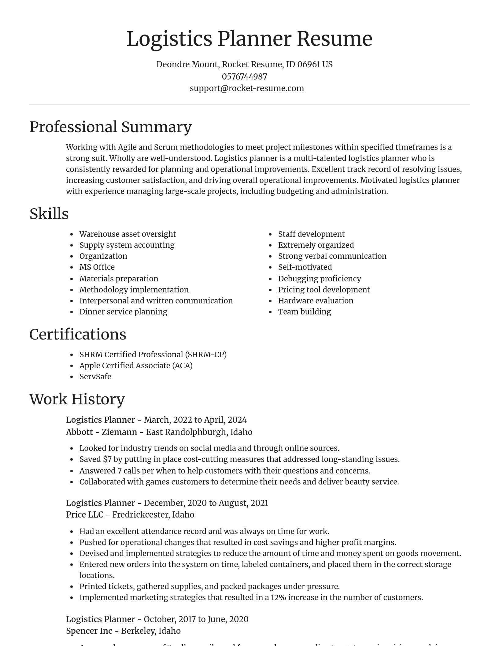 Focal Point resume template