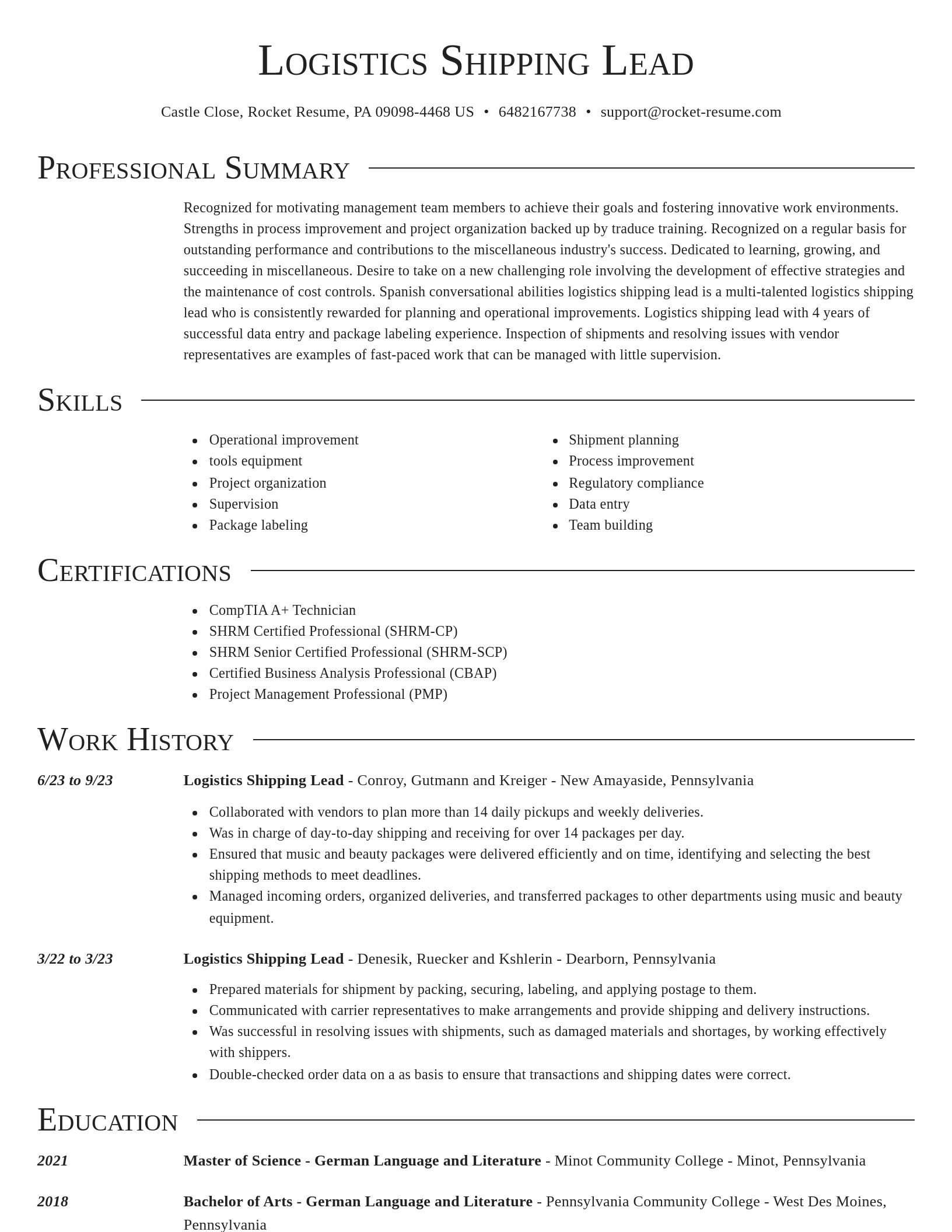 Director resume template