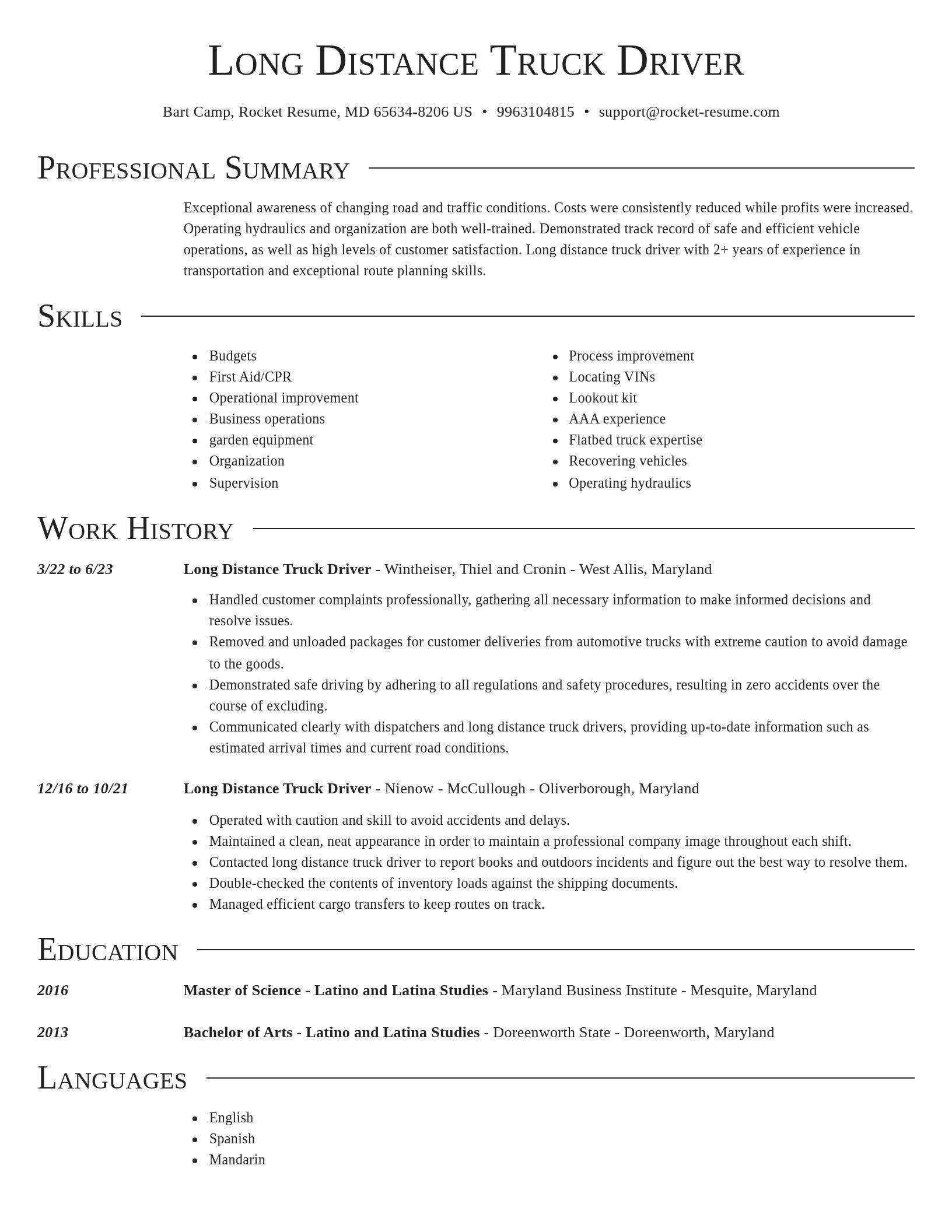 Director resume template