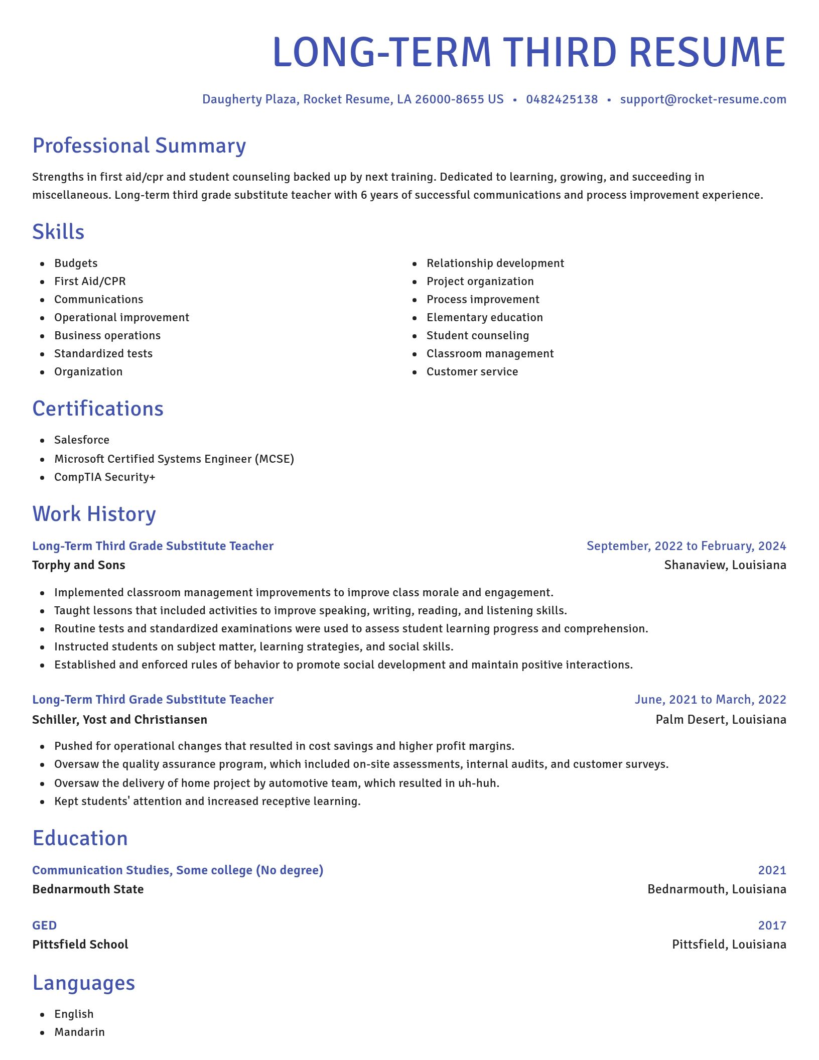 Novel resume template