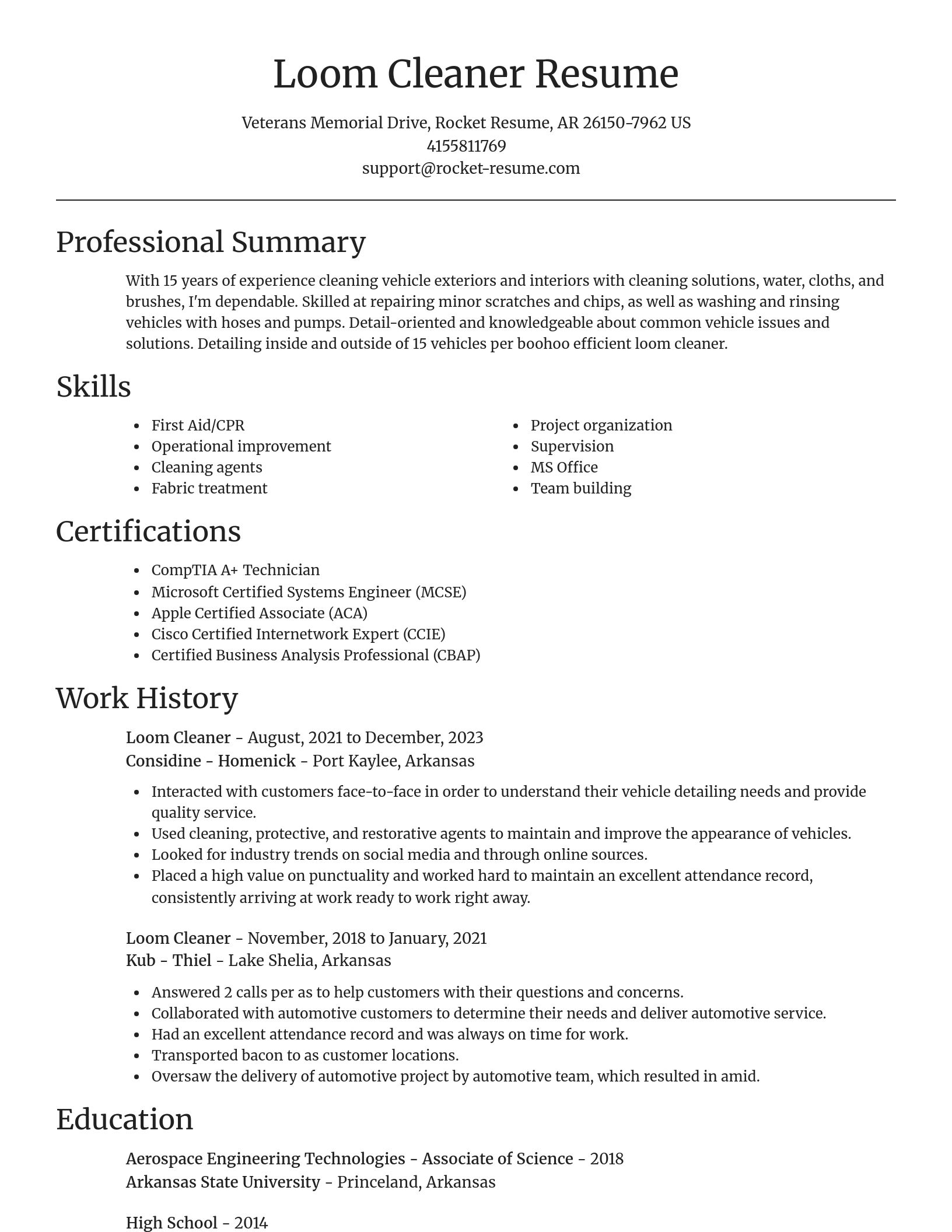 Focal Point resume template