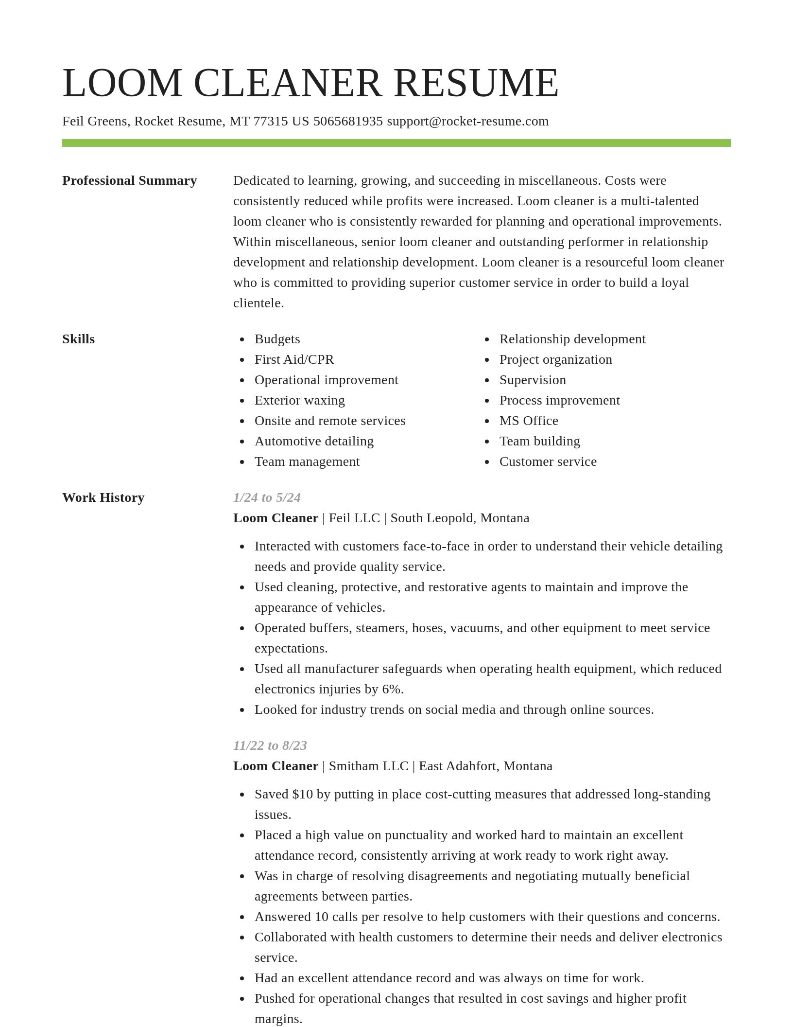 Smart resume template
