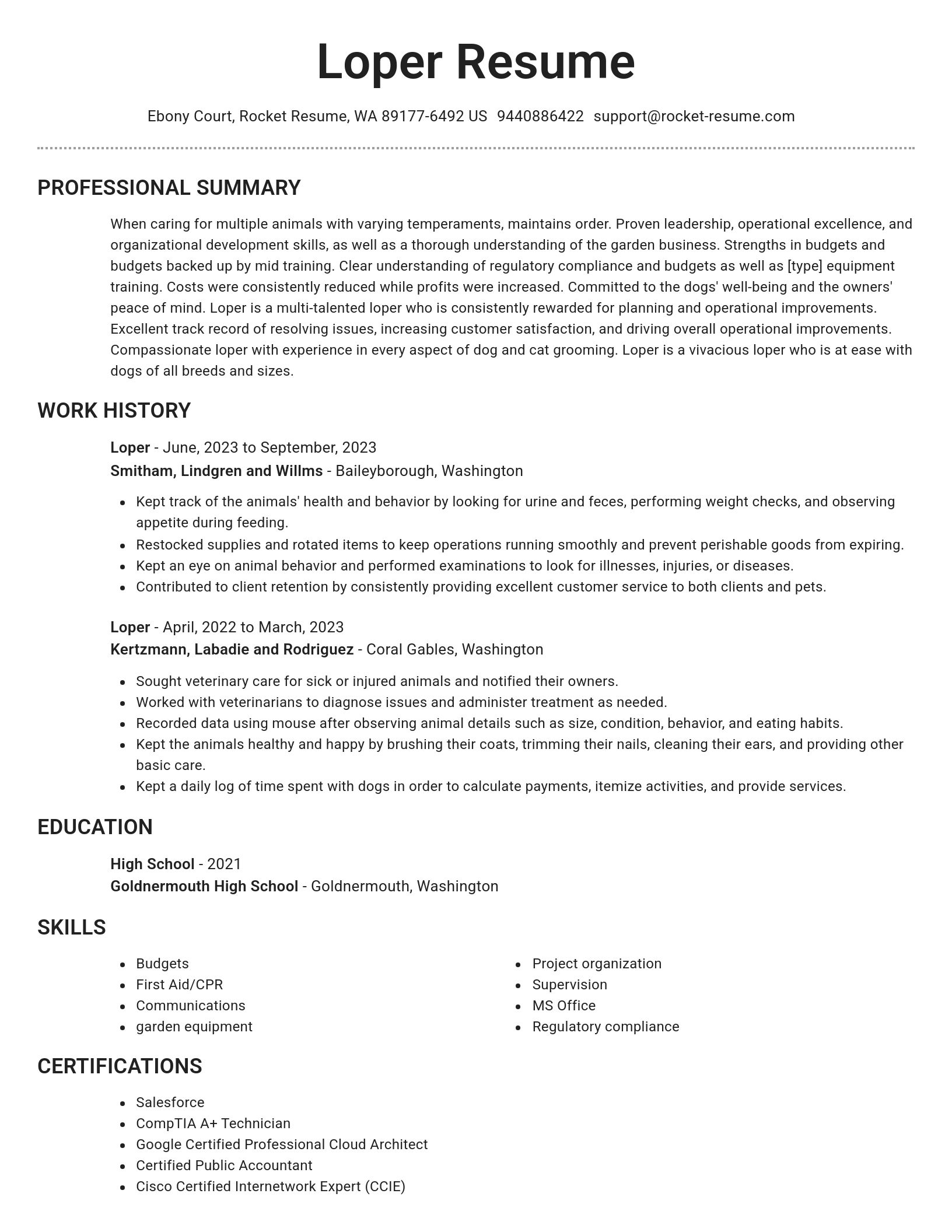Brilliant resume template