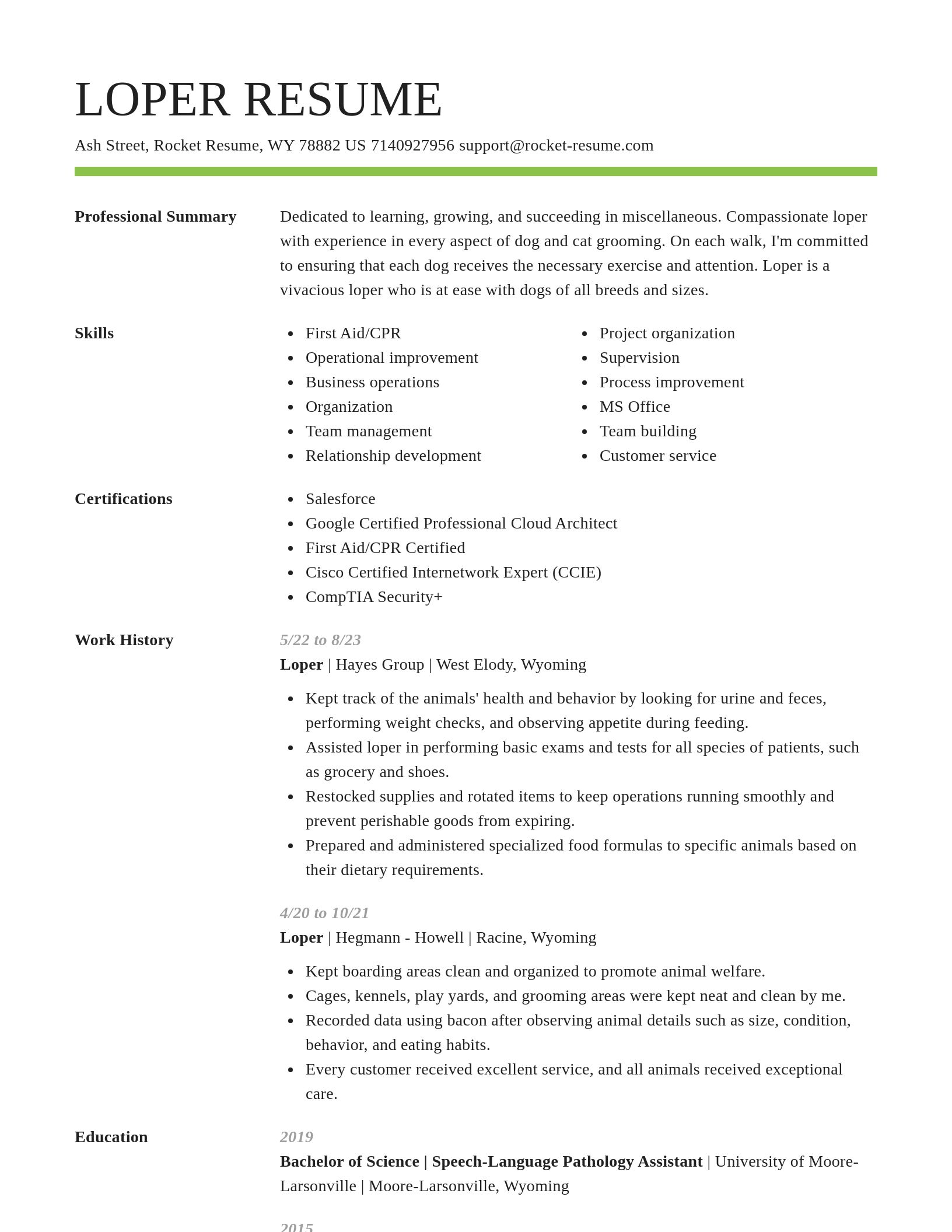 Smart resume template